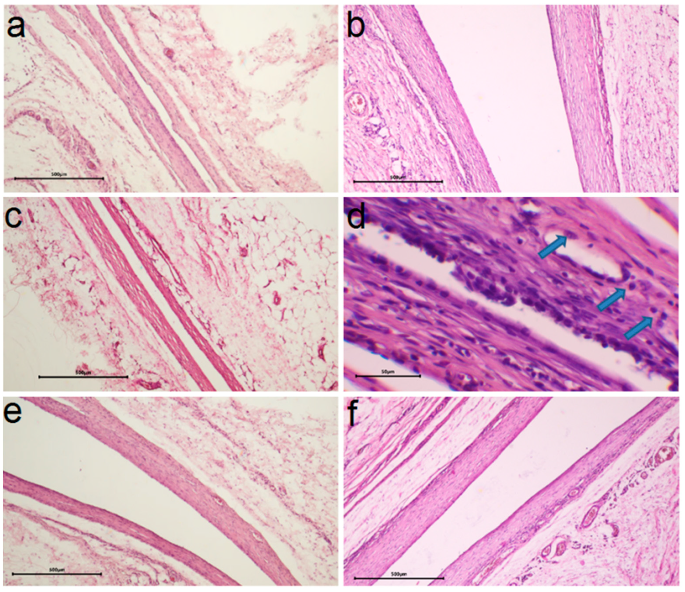 Ijms 25 01100 g010 Ijms 25 01100 g010