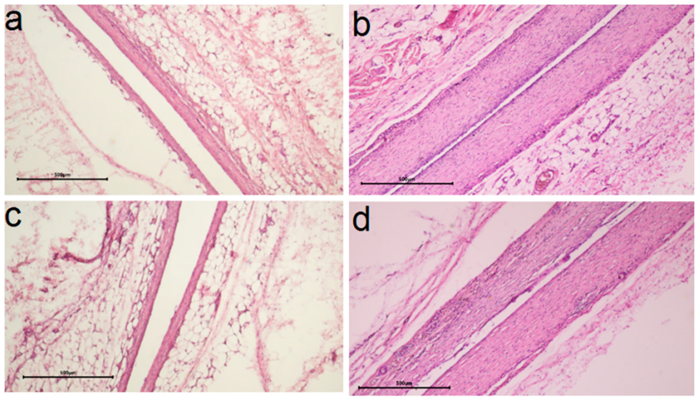 Ijms 25 01100 g011 Ijms 25 01100 g011