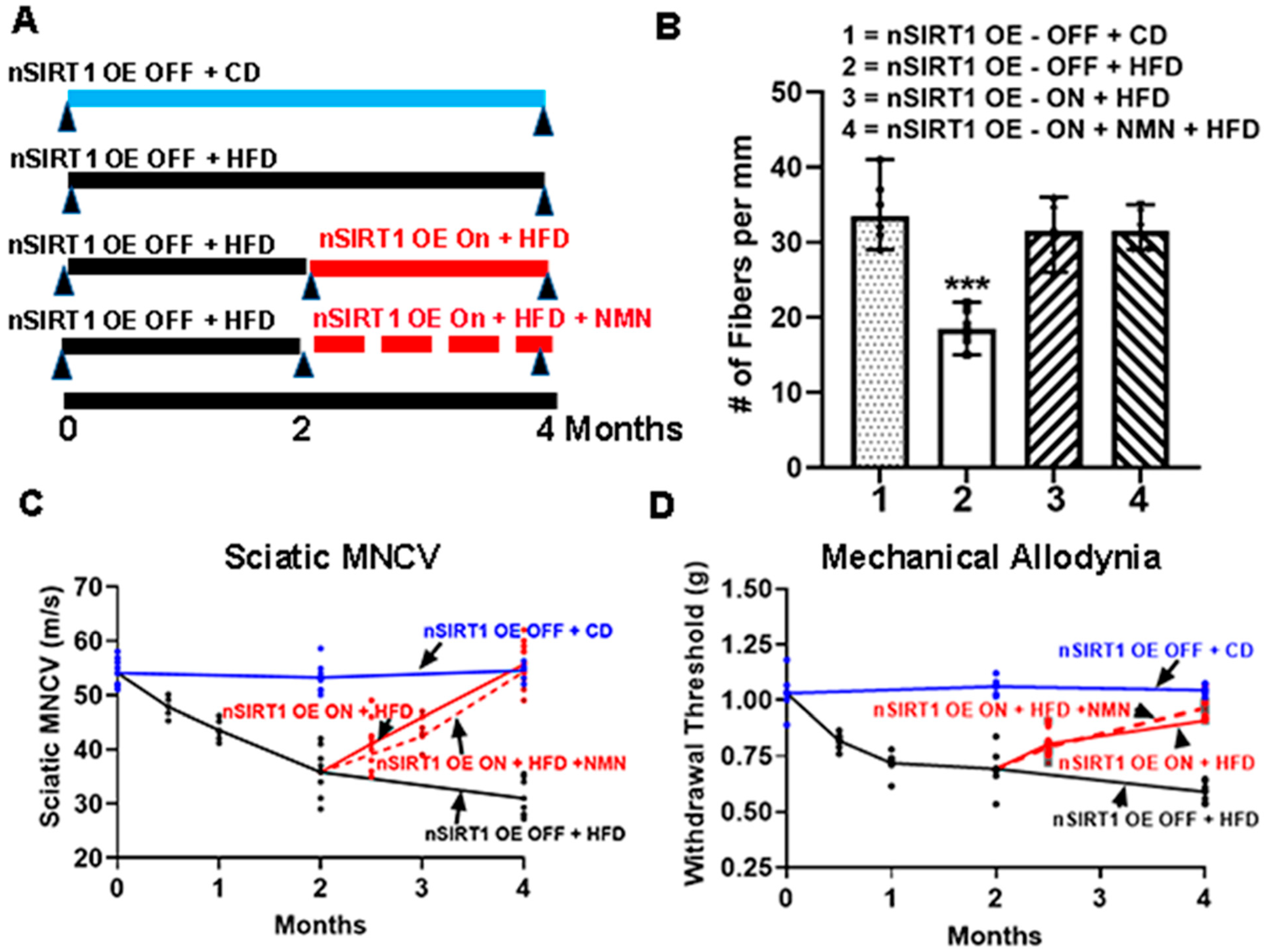 n様リクエスト NAD+ Precursors Reverse Experimental Diabetic Neuropathy in Mice