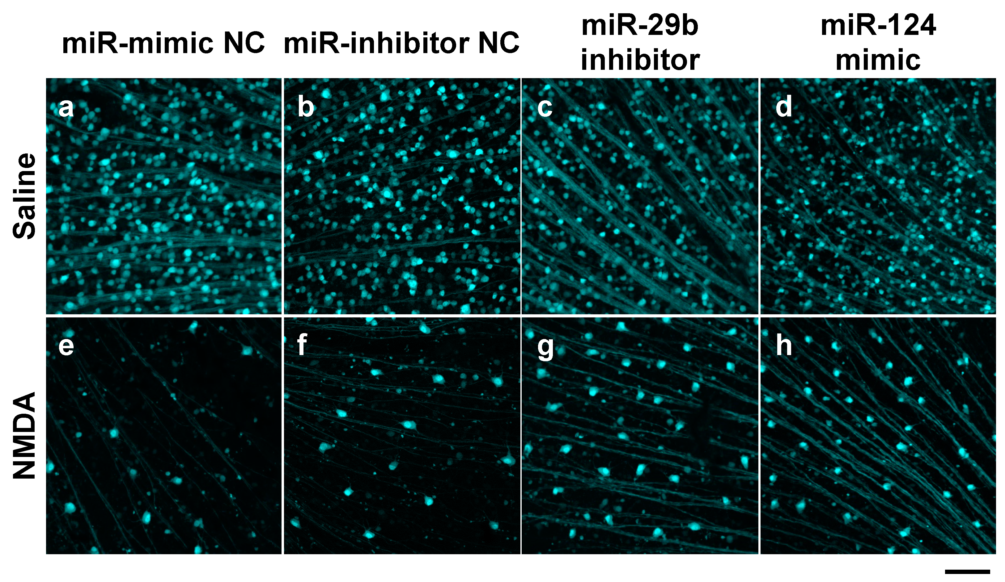 Ijms 25 01106 g002 Ijms 25 01106 g002