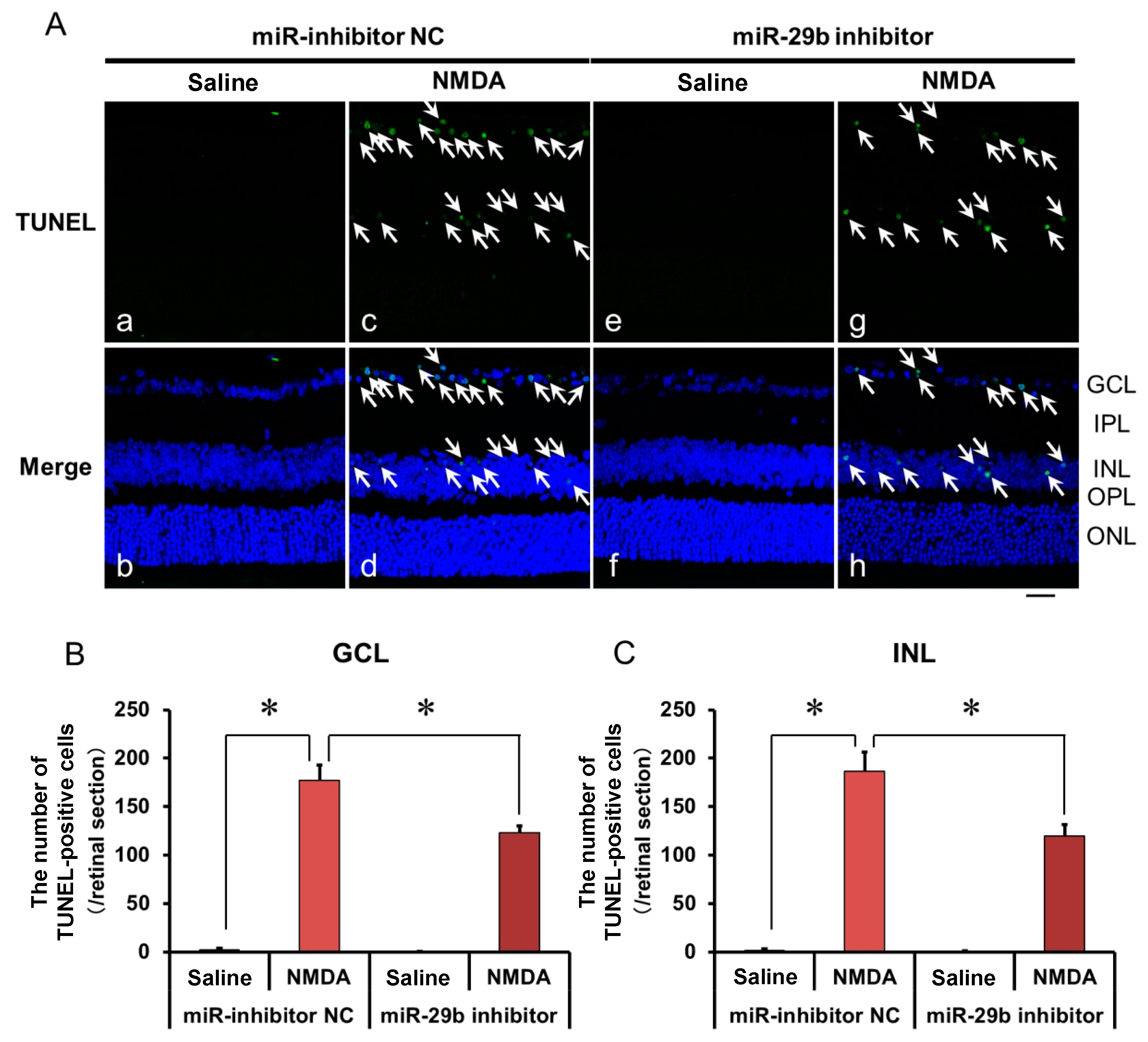 Ijms 25 01106 g004 Ijms 25 01106 g004