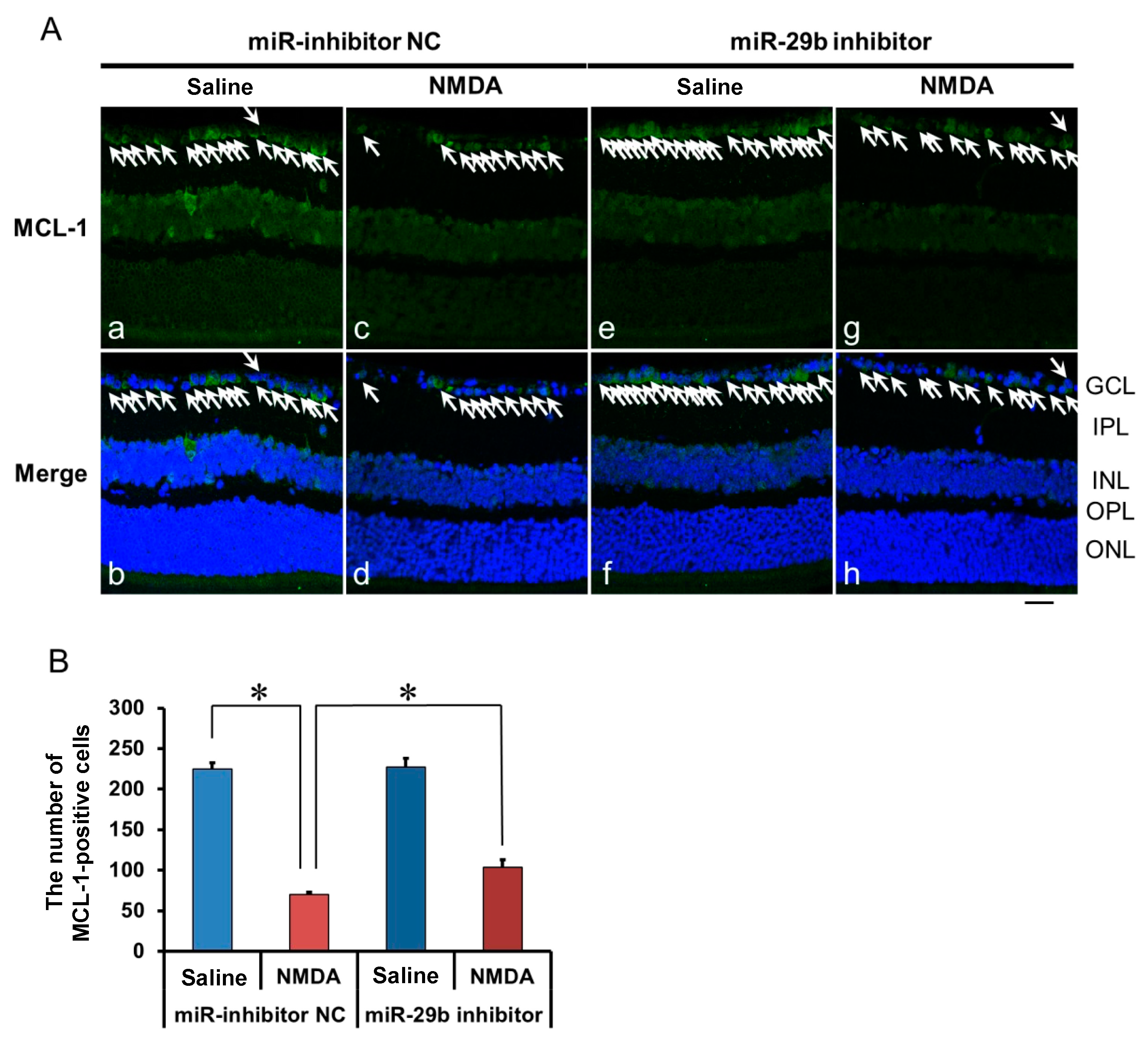 Ijms 25 01106 g005 Ijms 25 01106 g005