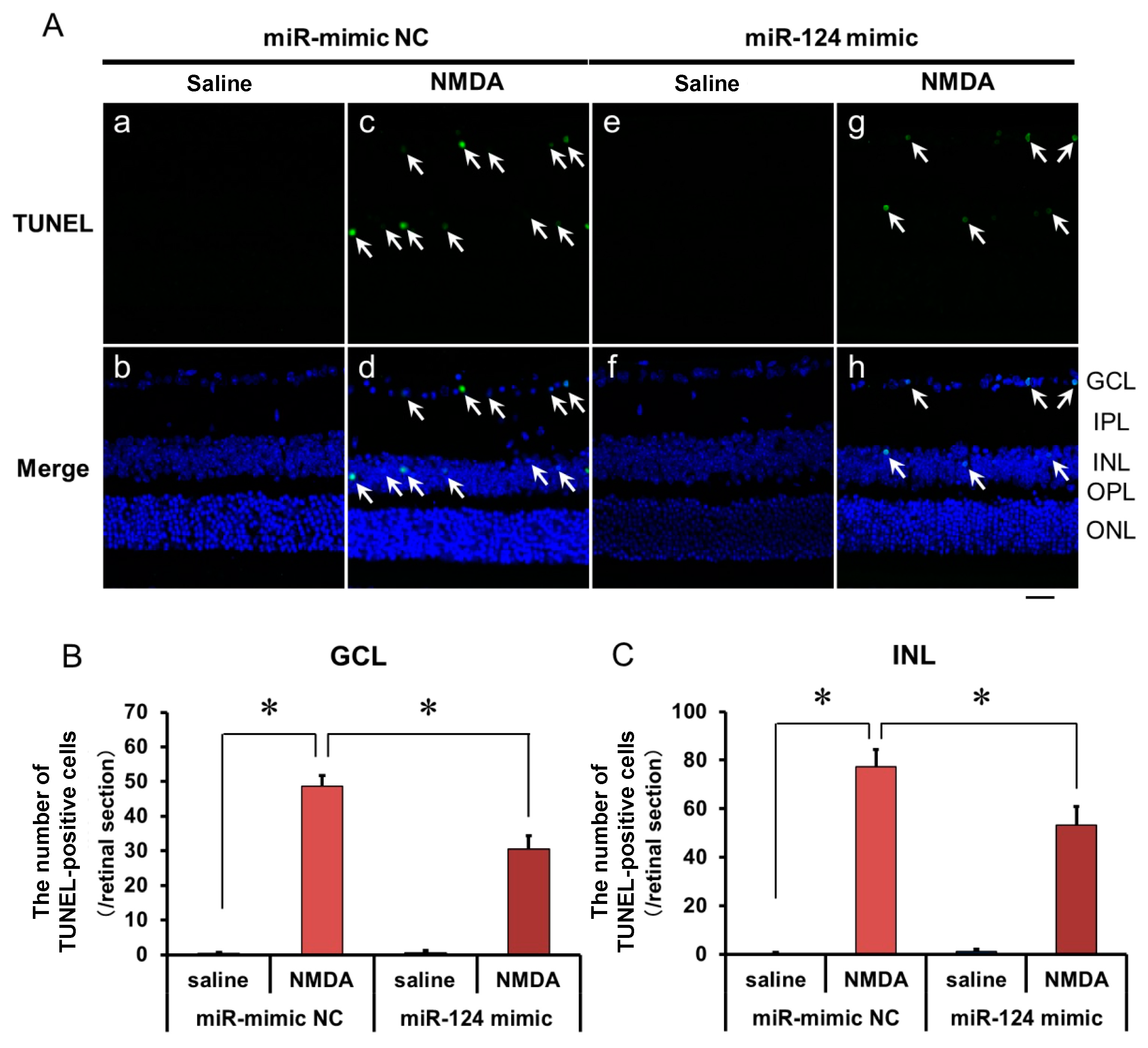 Ijms 25 01106 g006 Ijms 25 01106 g006
