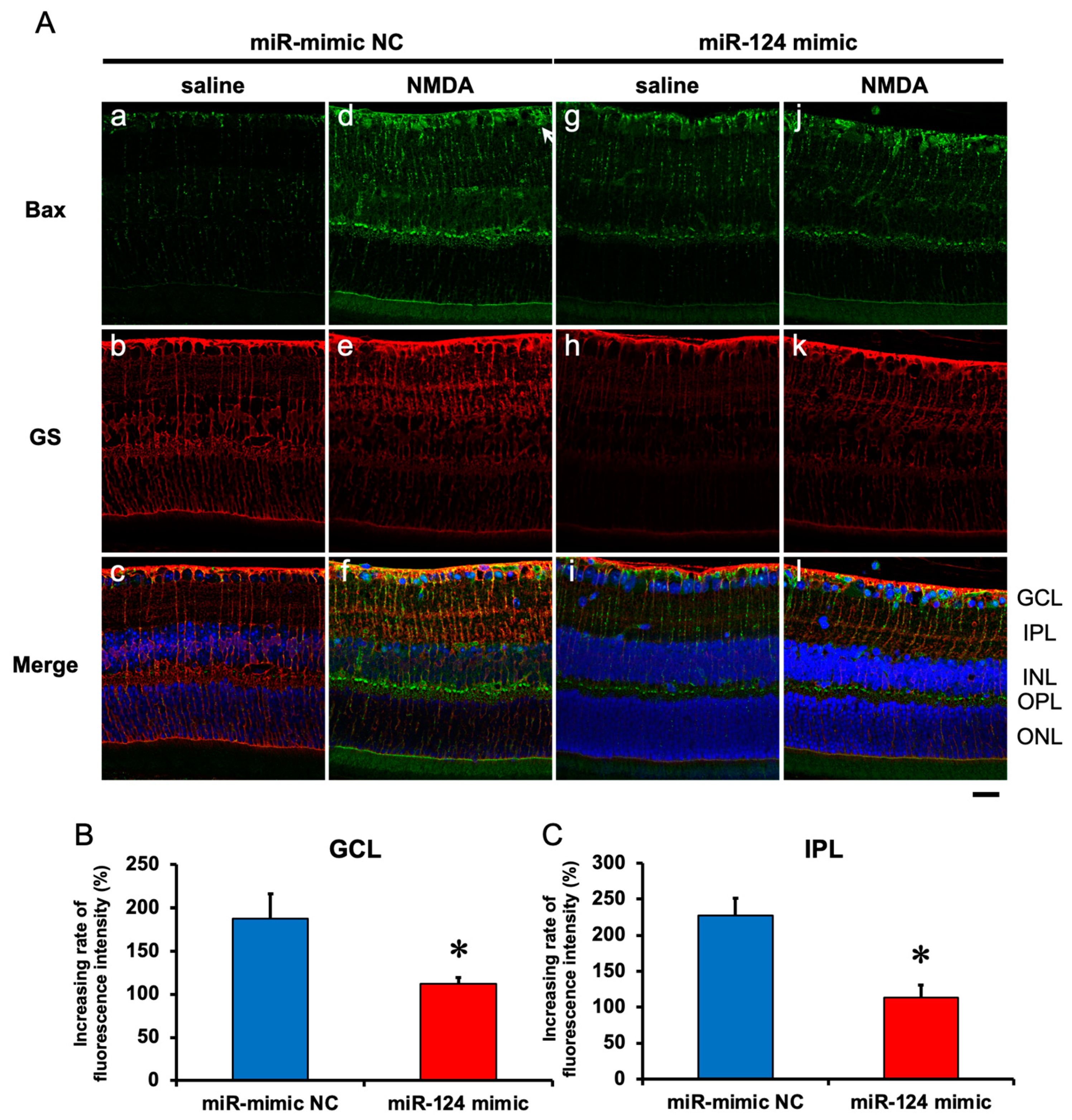 Ijms 25 01106 g007 Ijms 25 01106 g007