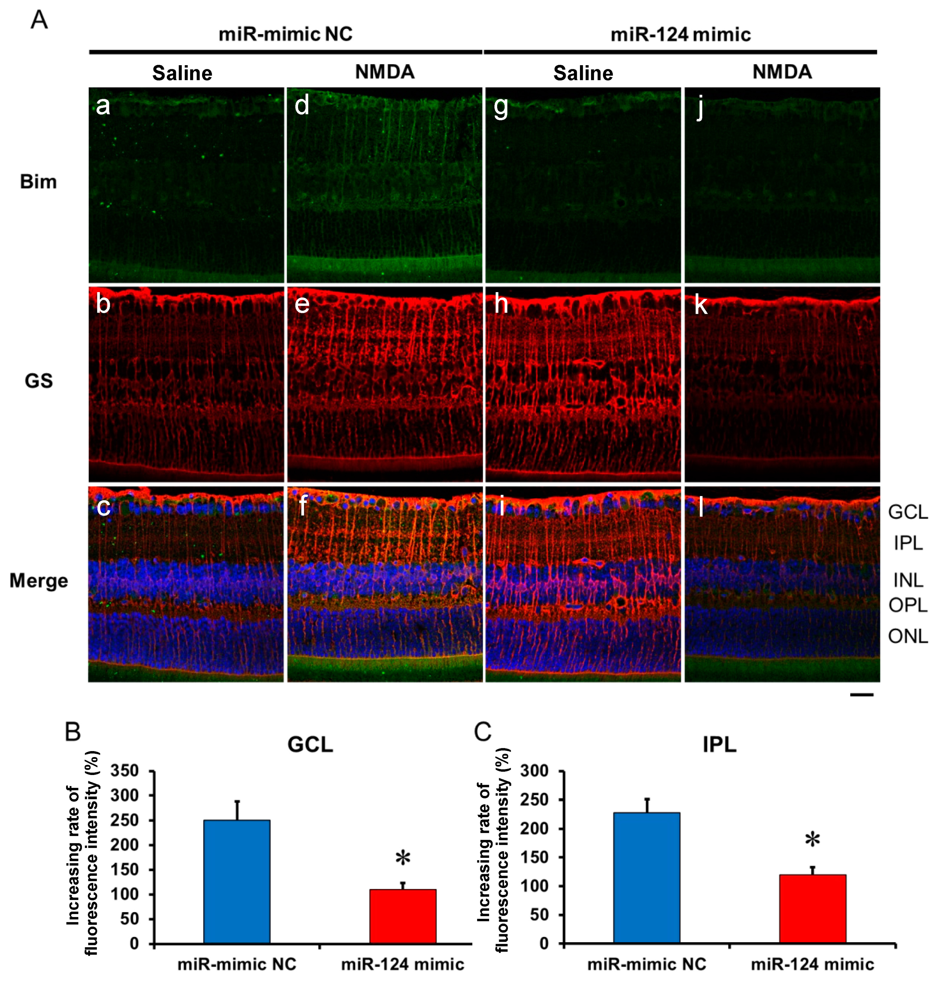 Ijms 25 01106 g008 Ijms 25 01106 g008