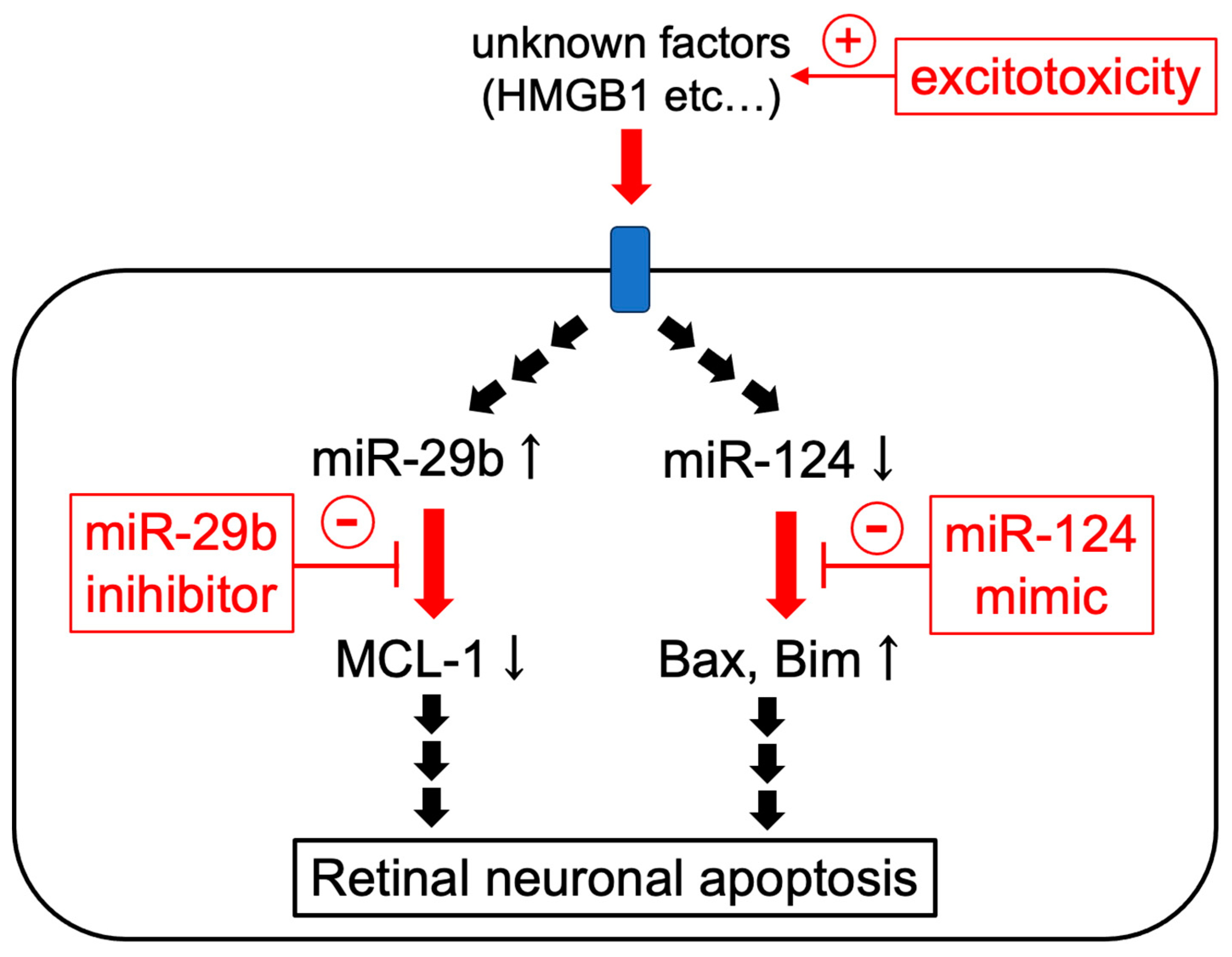 Ijms 25 01106 g009 Ijms 25 01106 g009