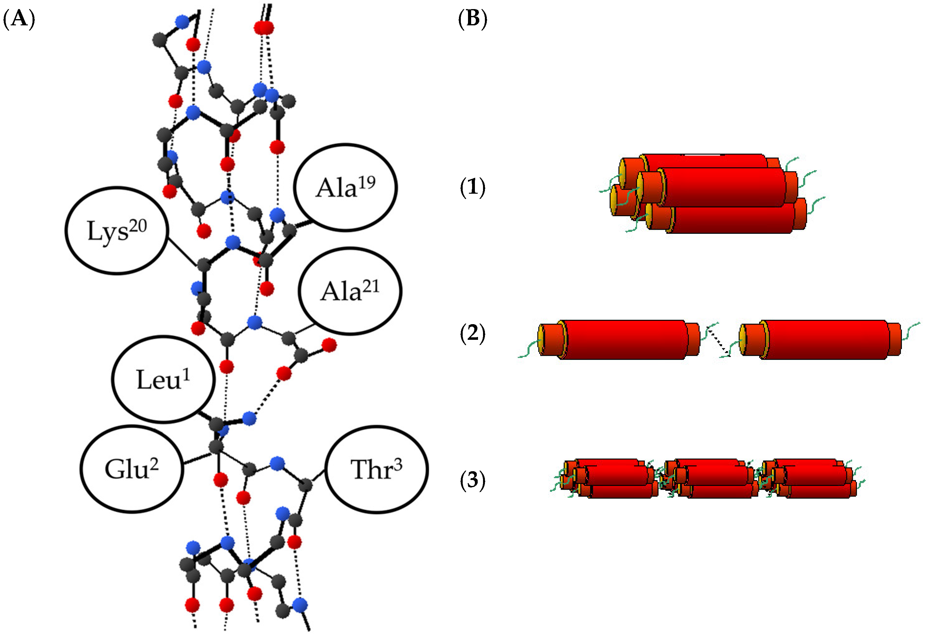 Ijms 25 01111 g005 Ijms 25 01111 g005
