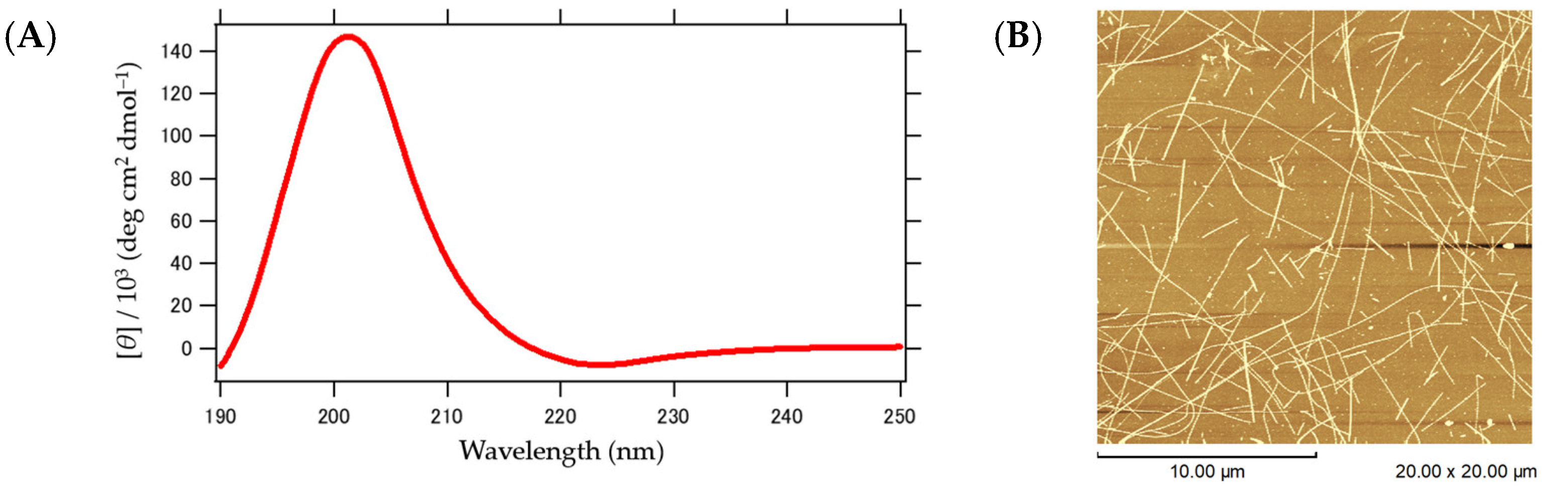 Ijms 25 01111 g006a Ijms 25 01111 g006a