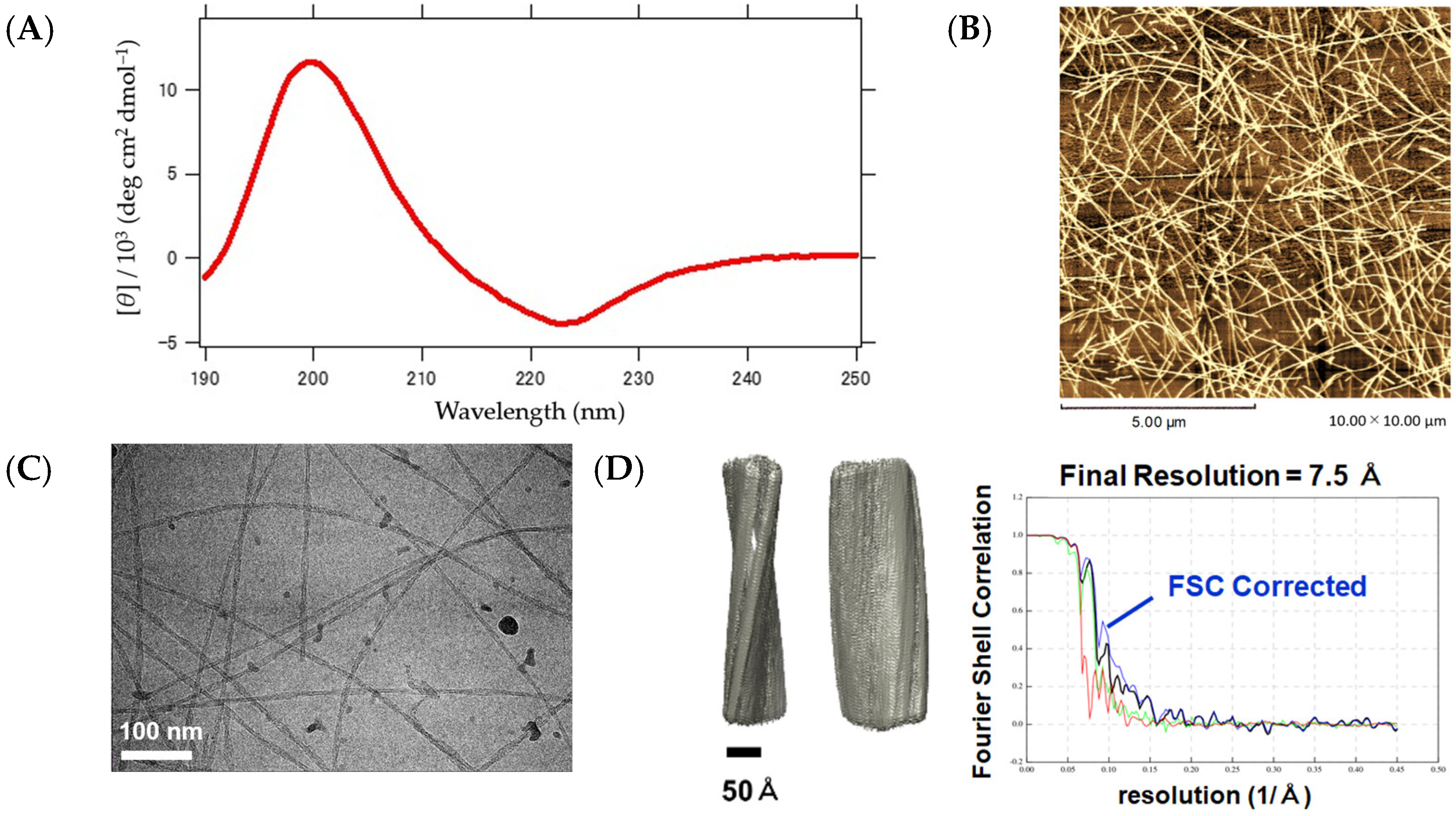 Ijms 25 01111 g007 Ijms 25 01111 g007