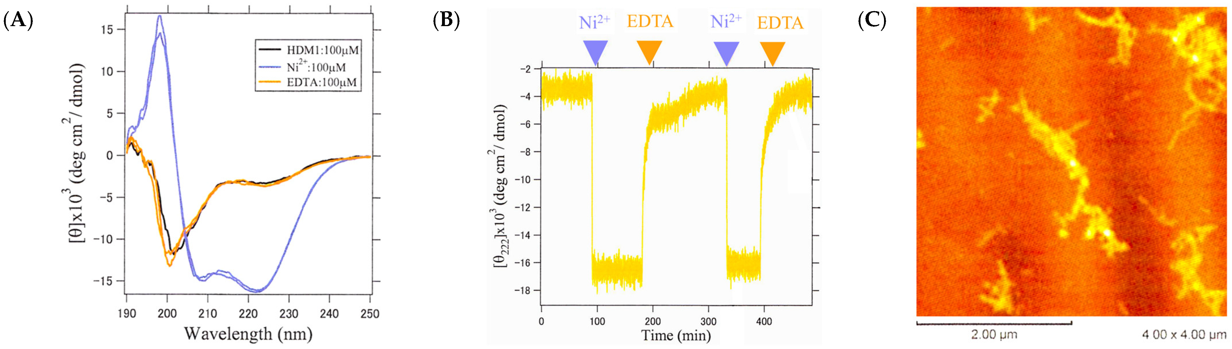 Ijms 25 01111 g011 Ijms 25 01111 g011