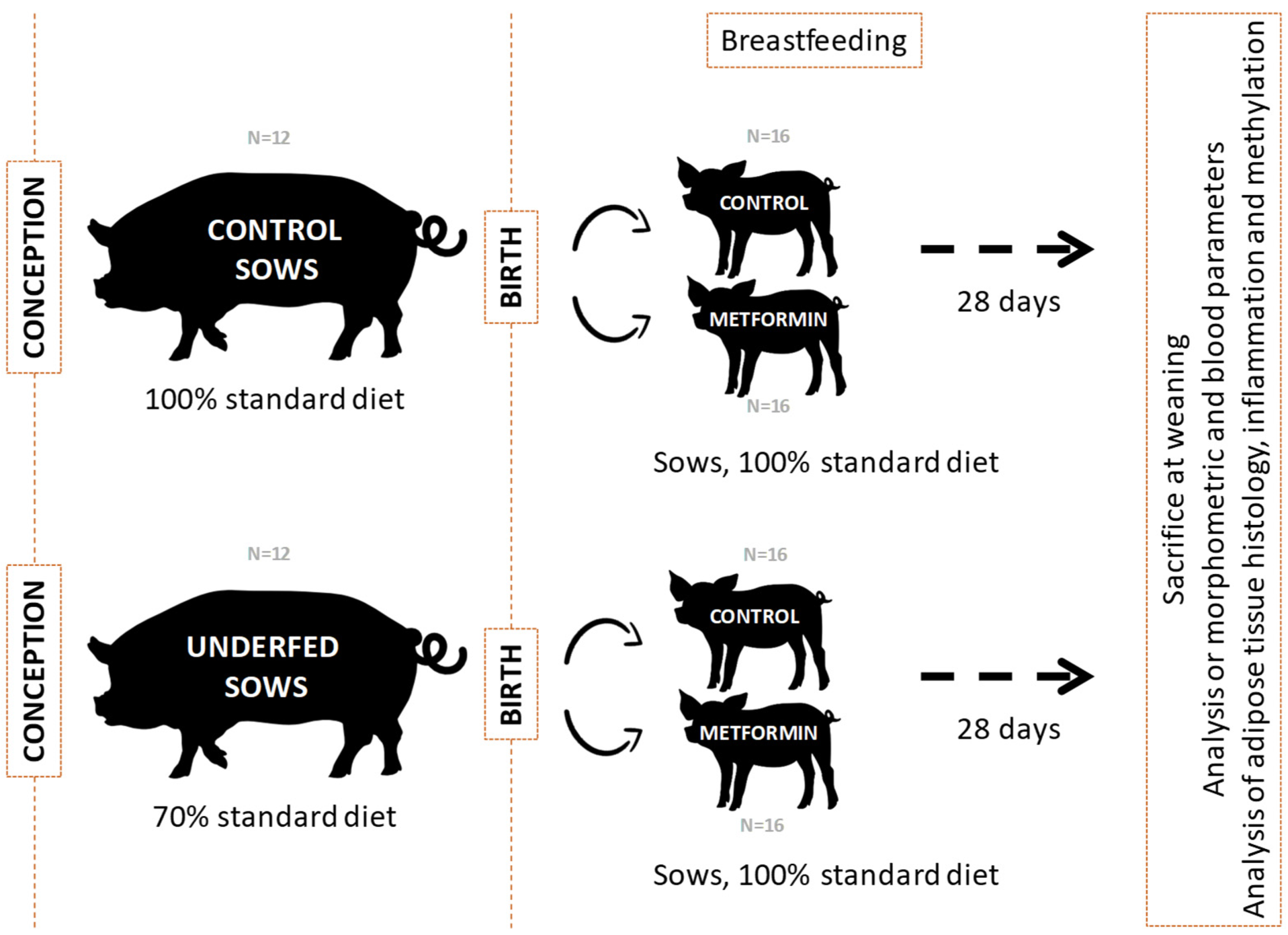 Ijms 25 01128 g001 Ijms 25 01128 g001