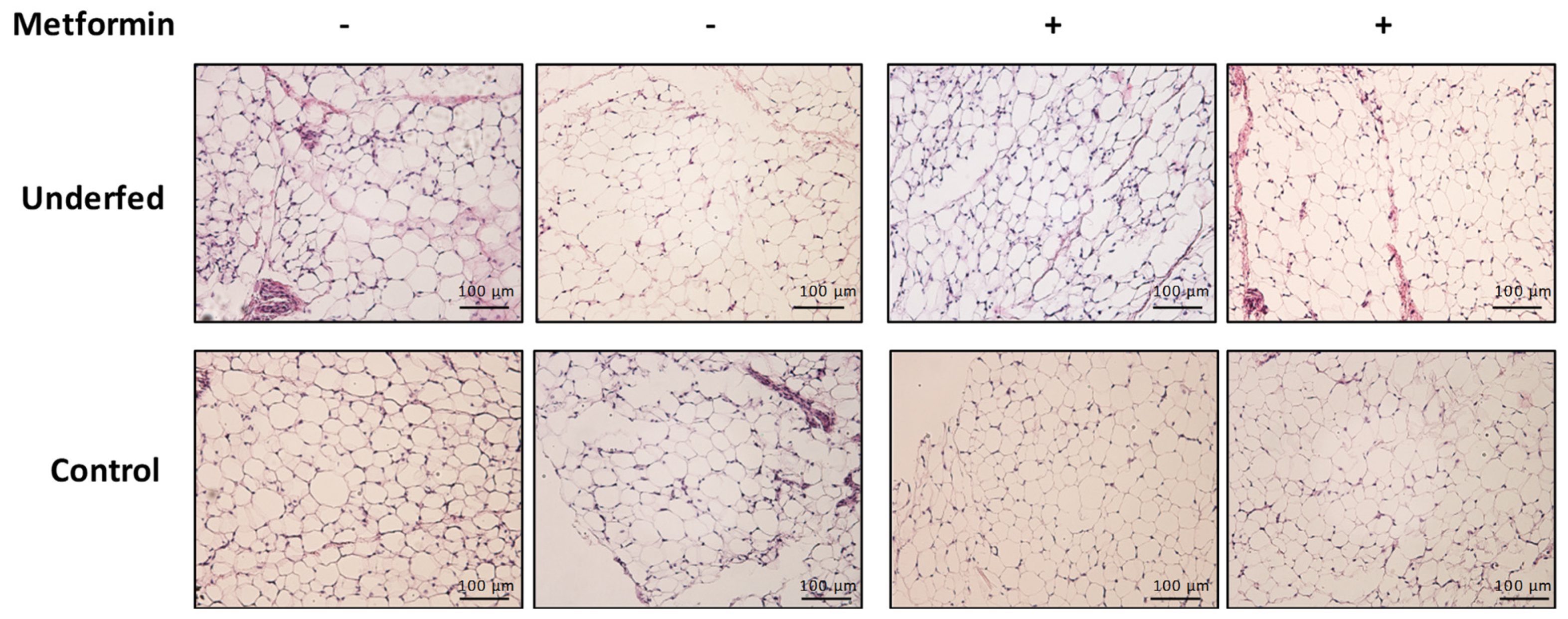 Ijms 25 01128 g002 Ijms 25 01128 g002