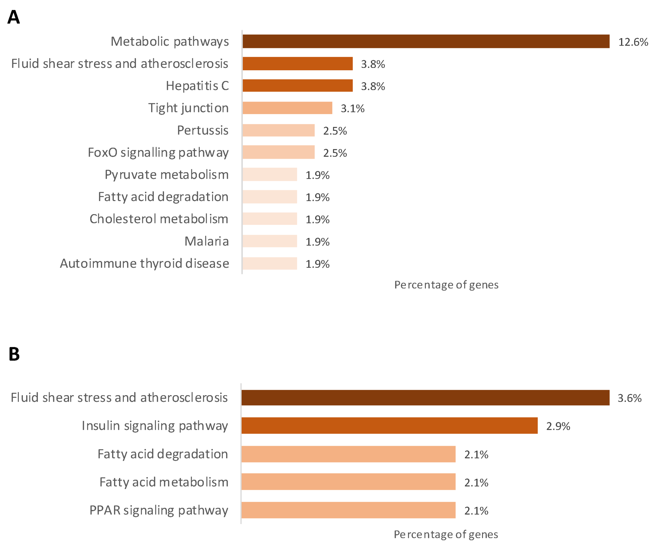 Ijms 25 01128 g004 Ijms 25 01128 g004