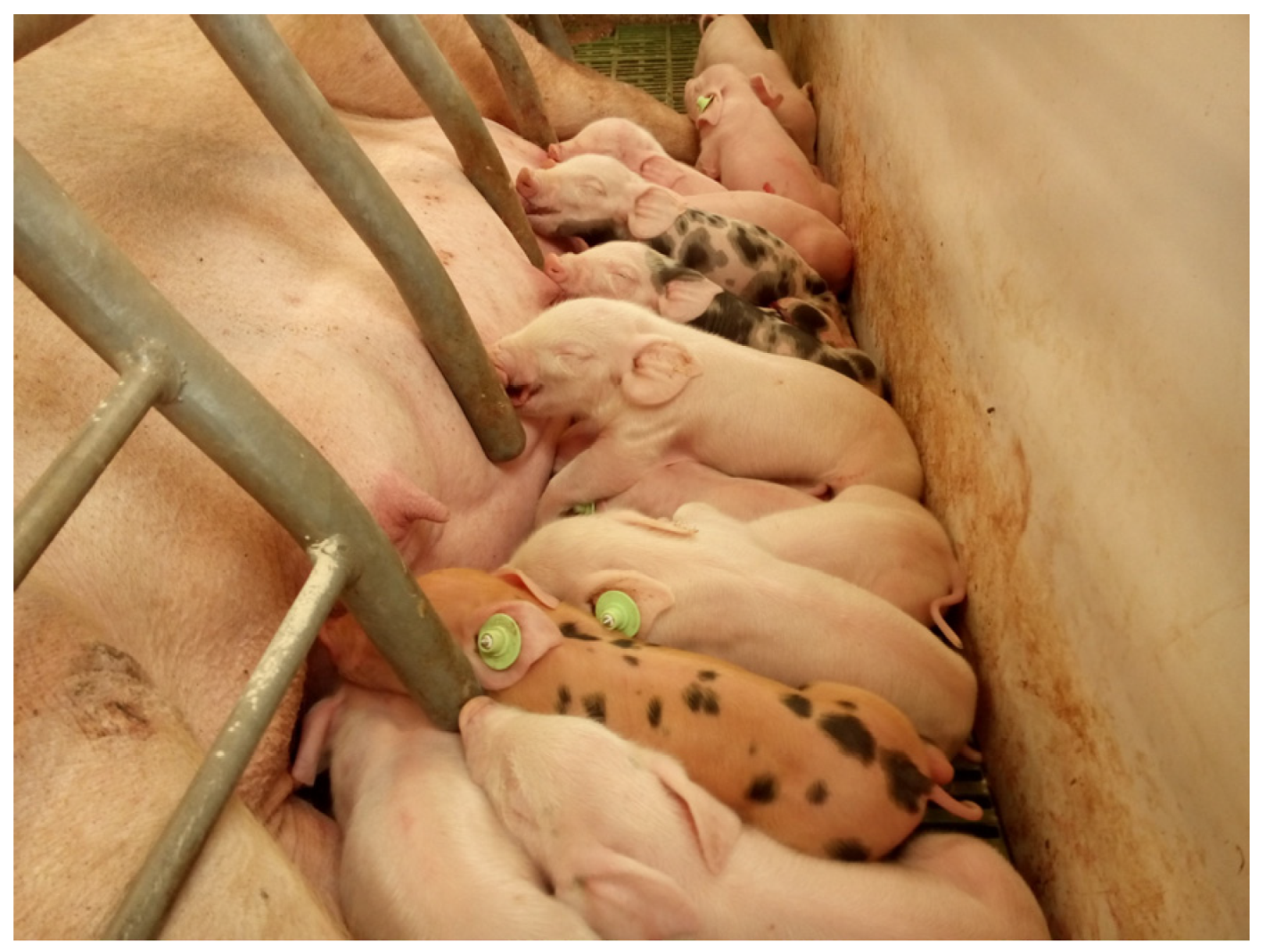 Ijms 25 01128 g007 Ijms 25 01128 g007