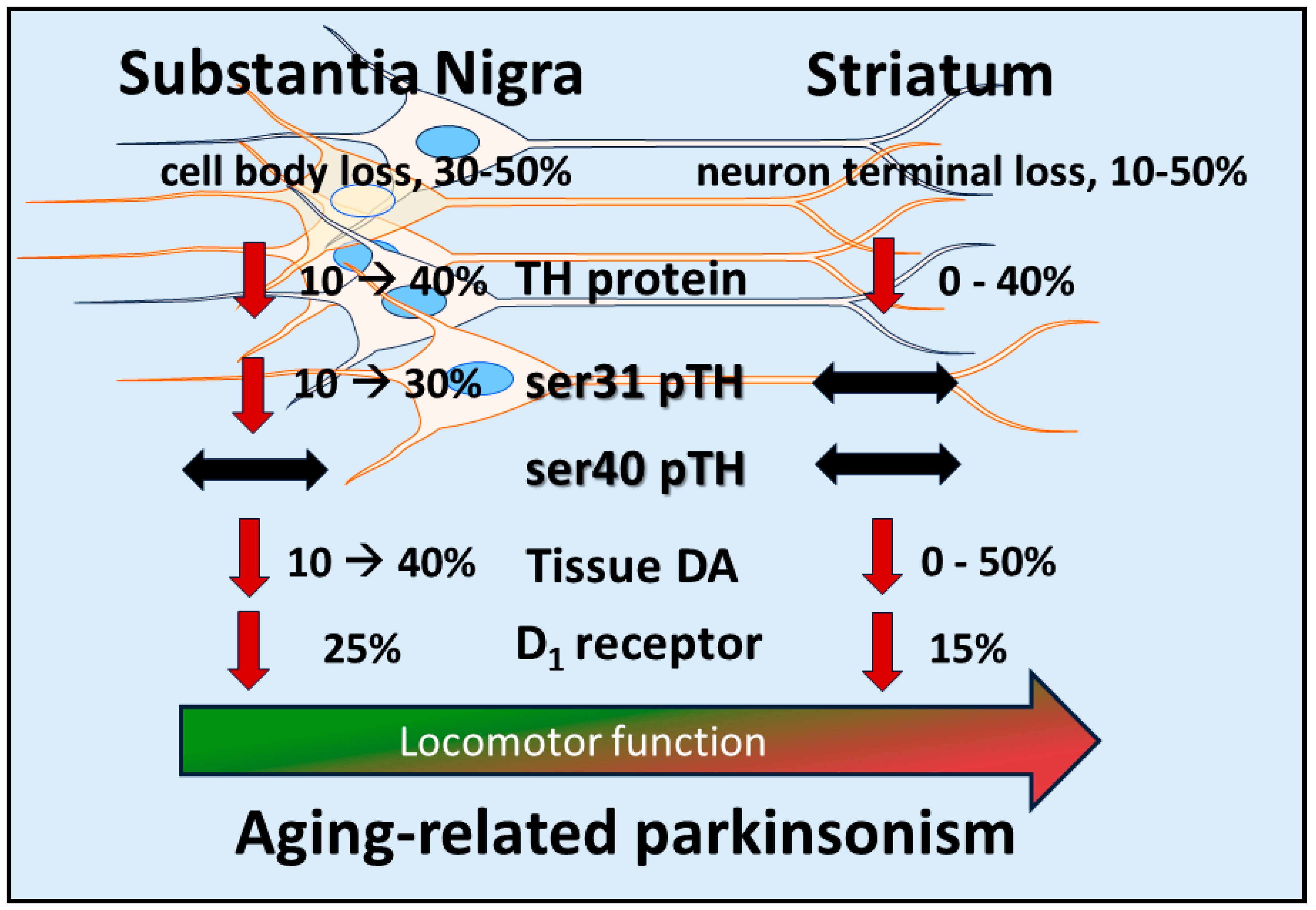 Ijms 25 01131 g001 Ijms 25 01131 g001