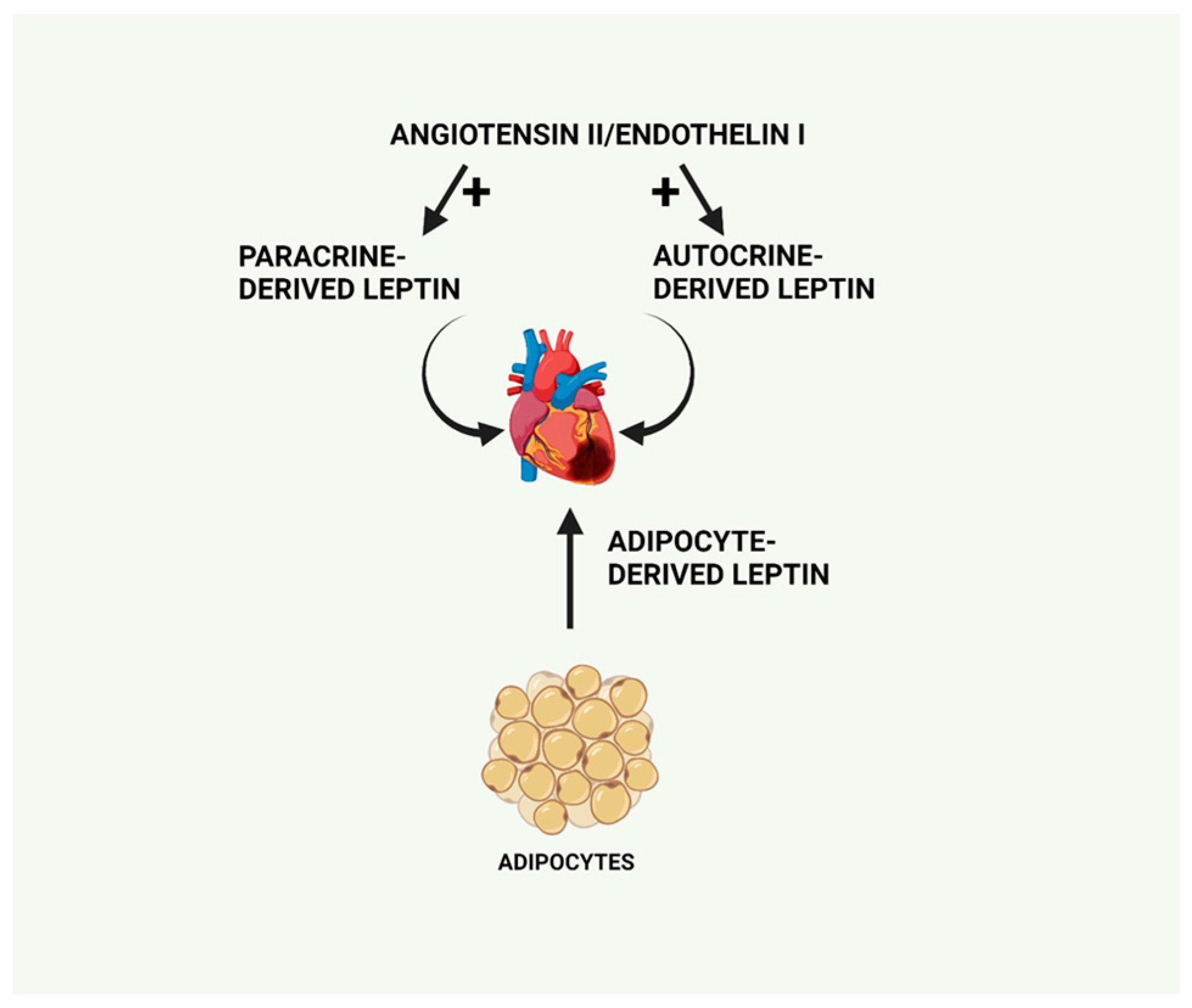 Ijms 25 01137 g003 Ijms 25 01137 g003