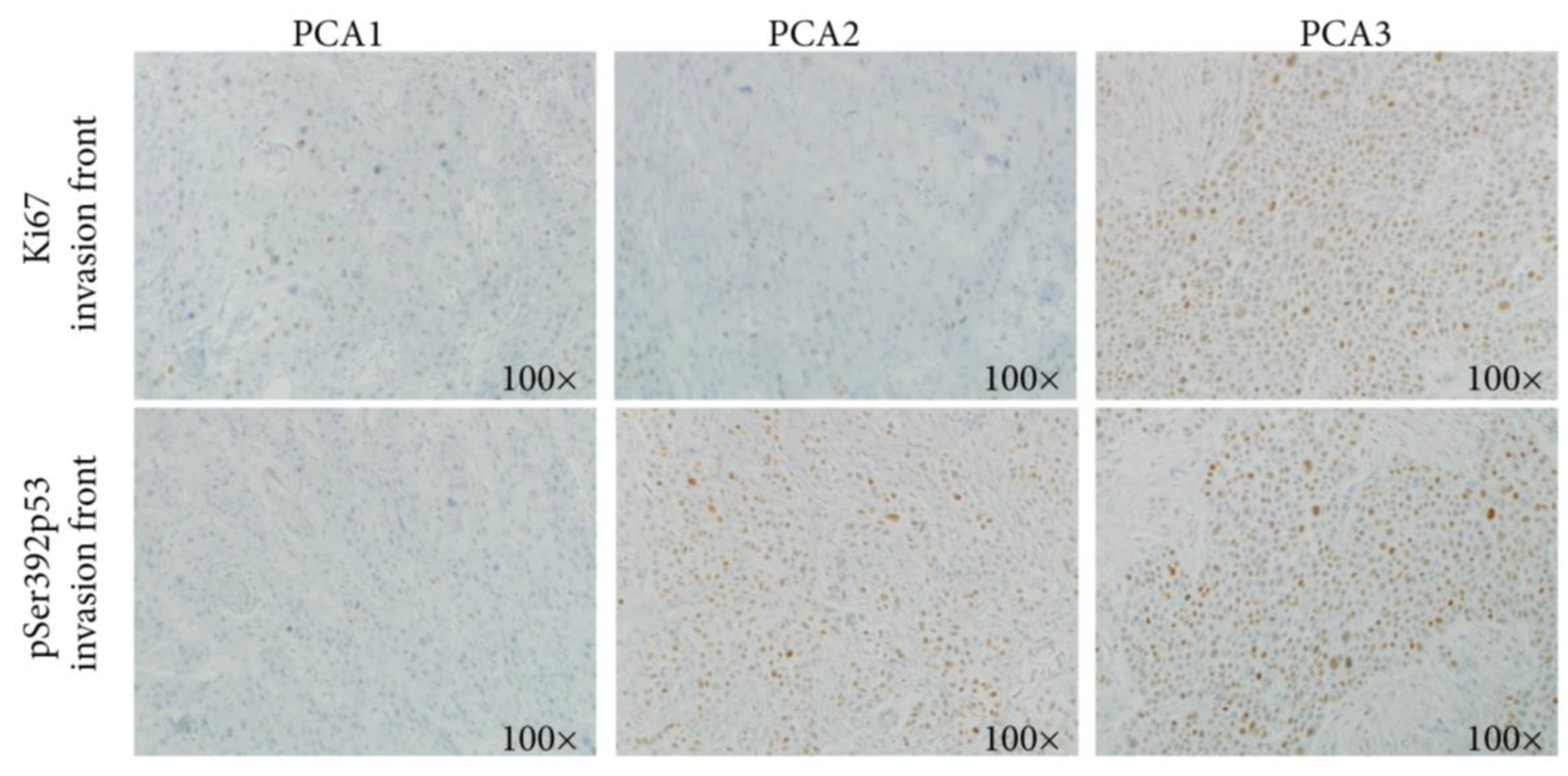 Ijms 25 01147 g005 Ijms 25 01147 g005