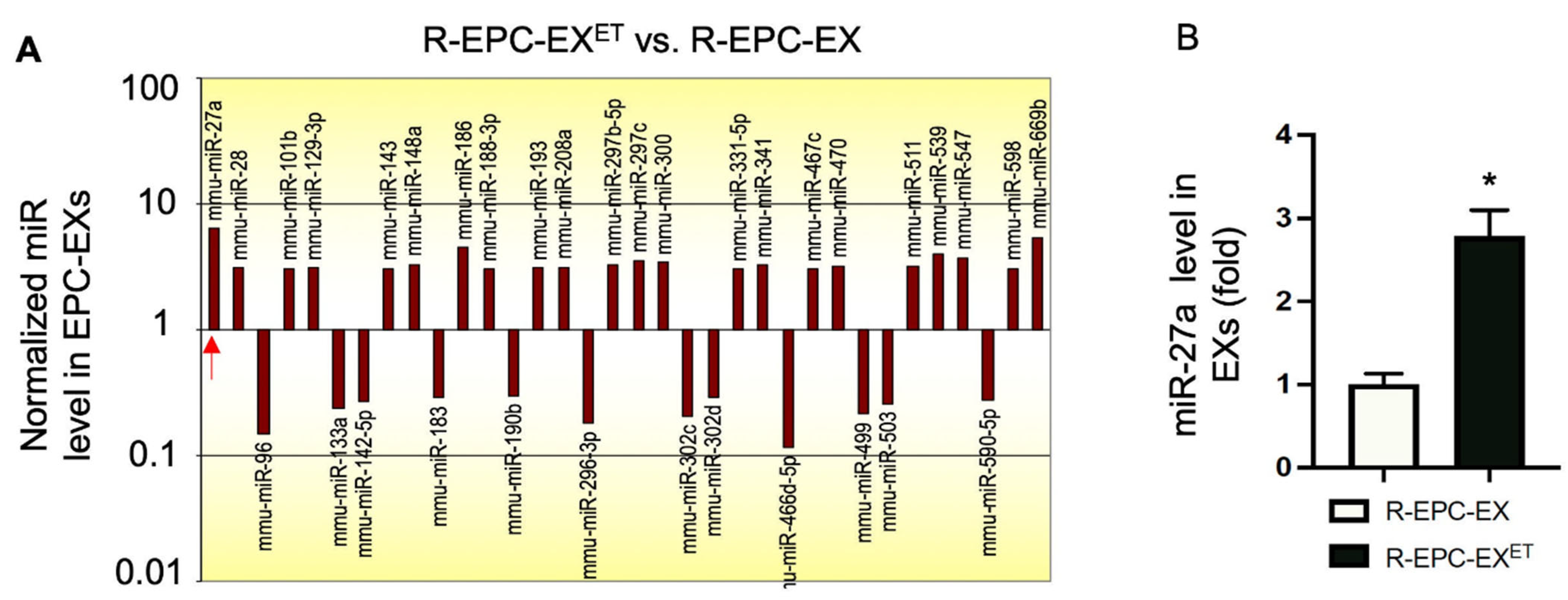 Ijms 25 01148 g002 Ijms 25 01148 g002