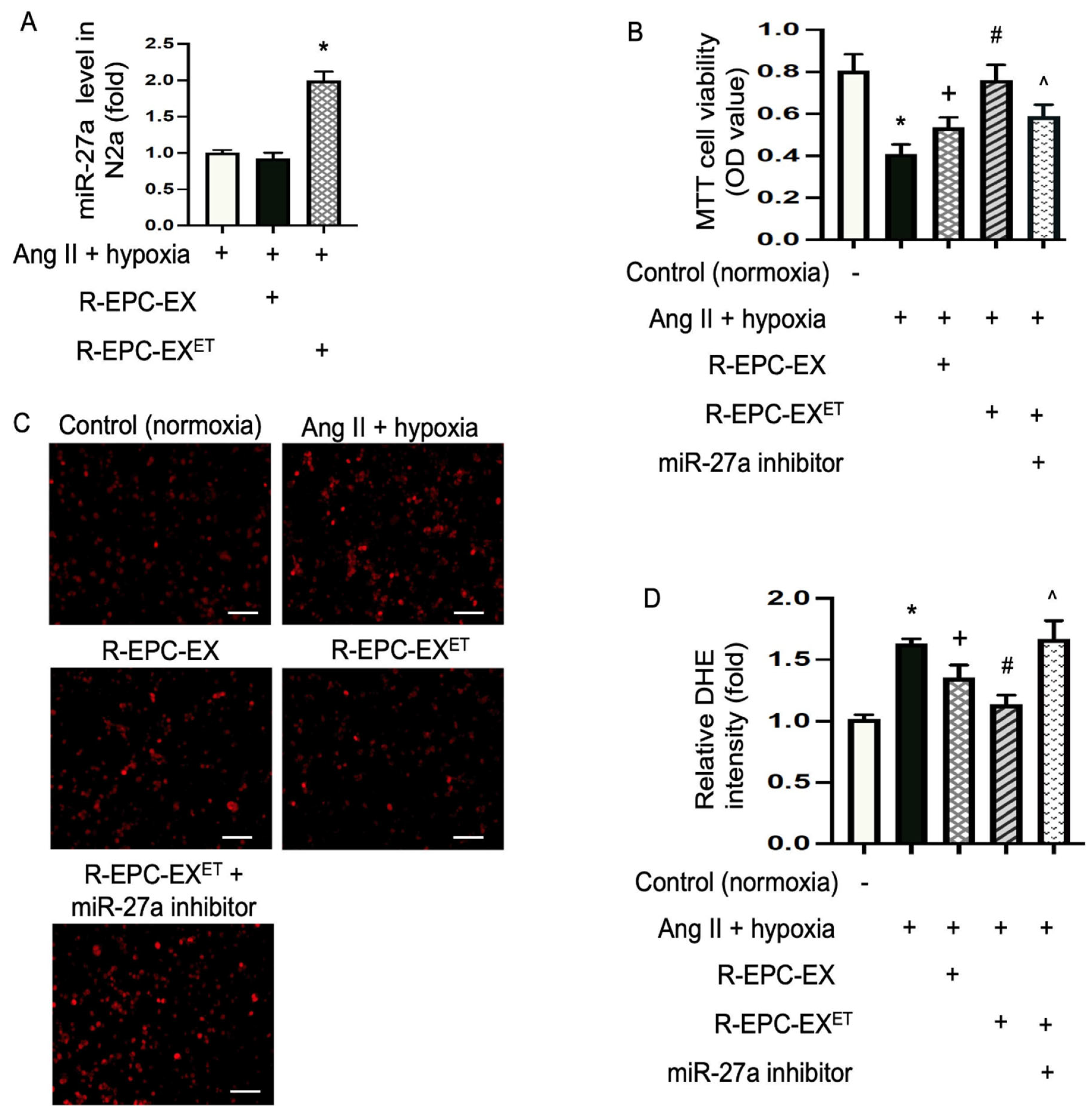 Ijms 25 01148 g003 Ijms 25 01148 g003