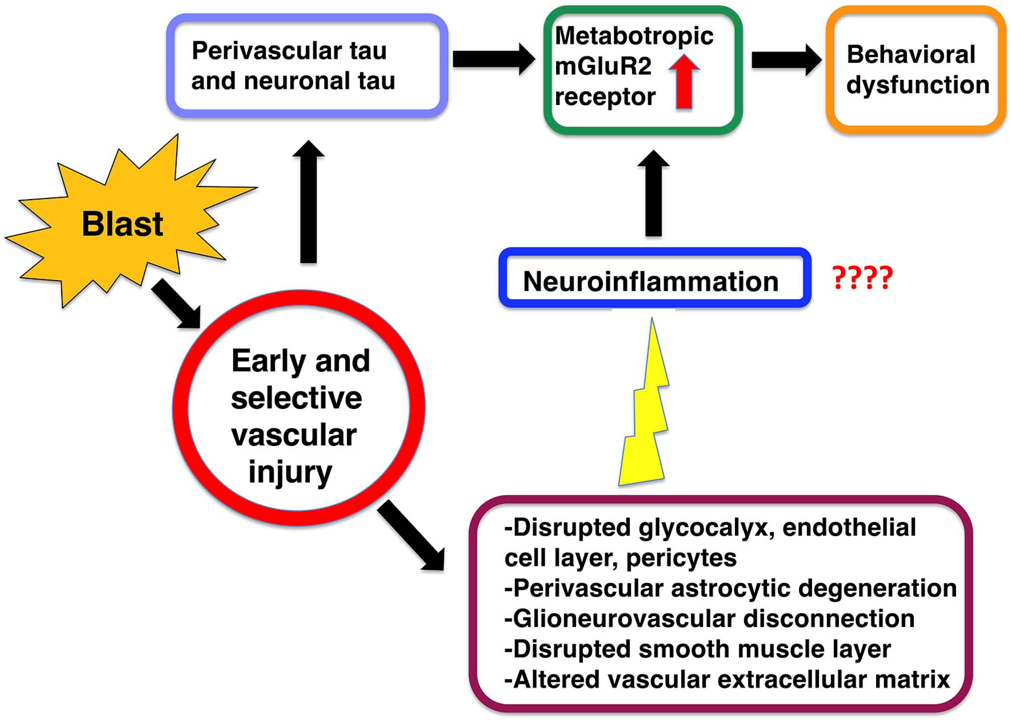 Ijms 25 01150 g008 Ijms 25 01150 g008