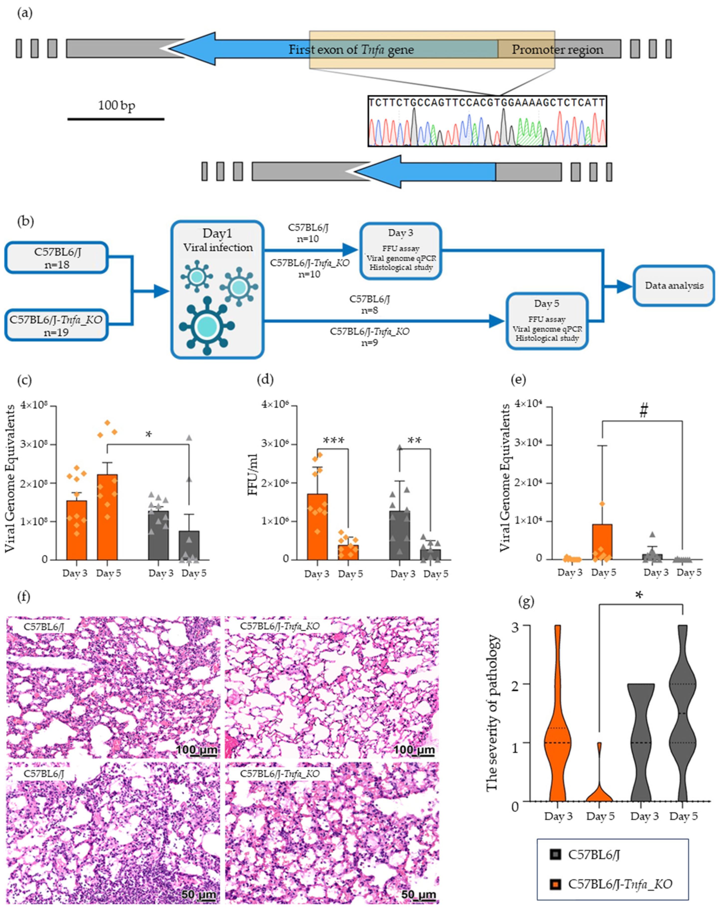 Ijms 25 01156 g001 Ijms 25 01156 g001