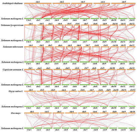 Genome-Wide Analysis of R2R3-MYB Genes and Functional Characterization ...