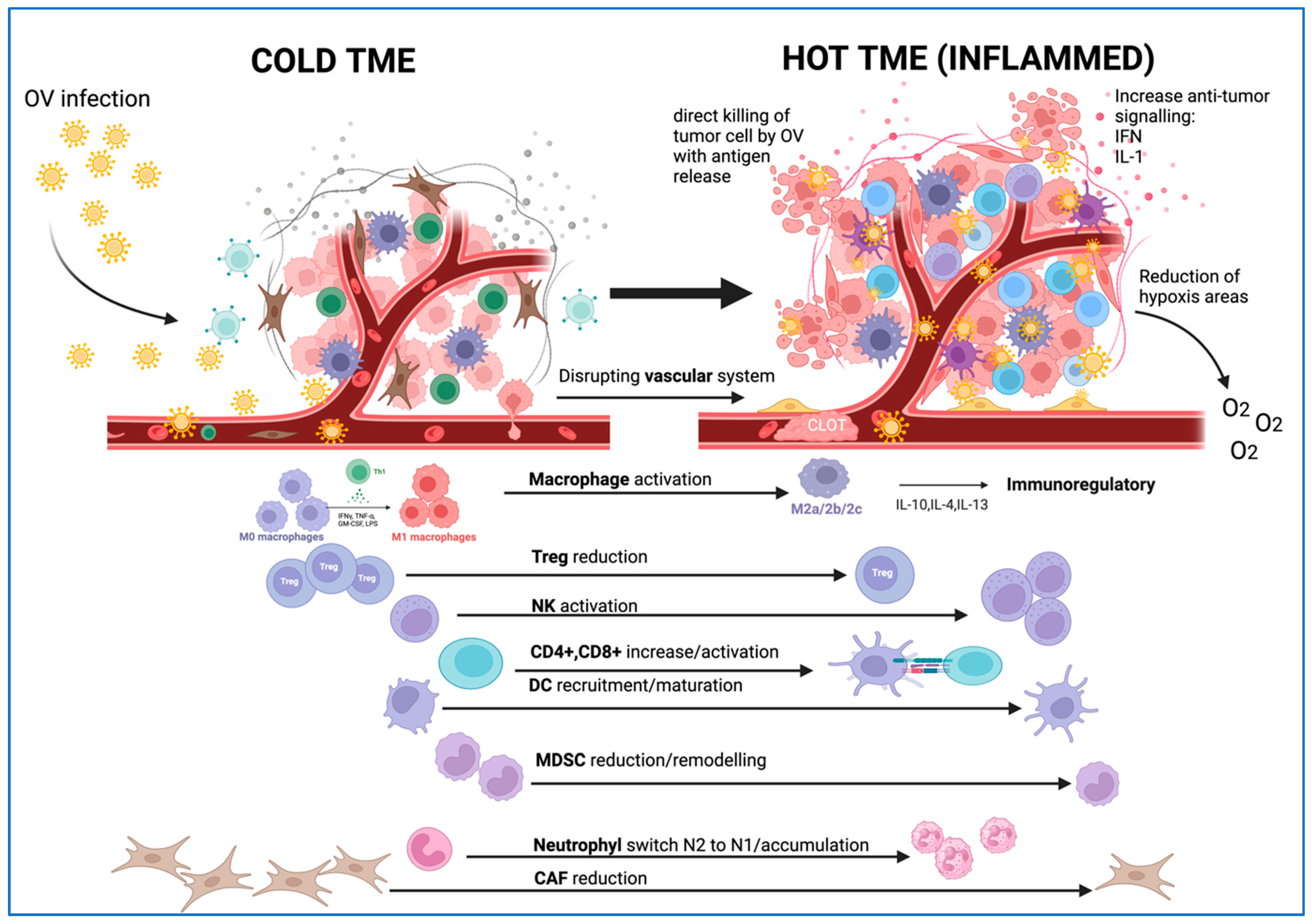 Ijms 25 01180 g003 Ijms 25 01180 g003