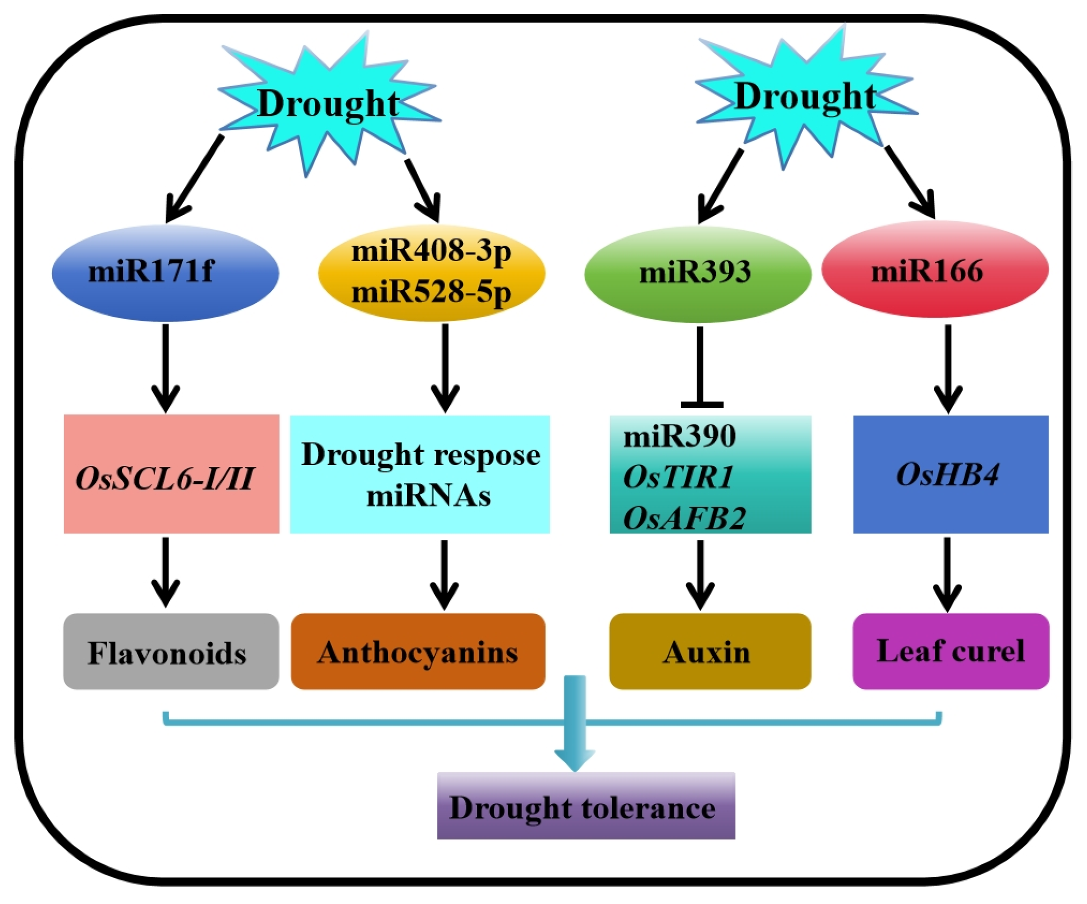 Ijms 25 01185 g003 Ijms 25 01185 g003
