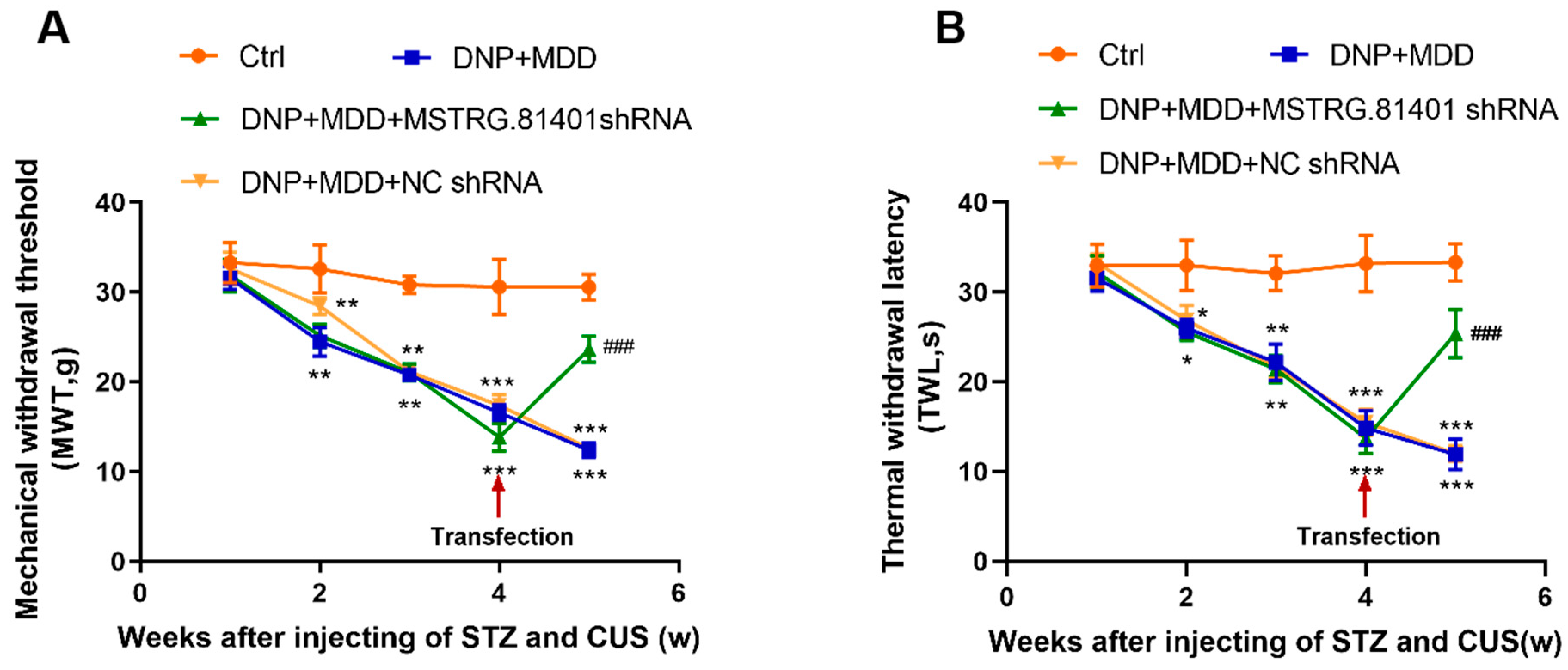 Ijms 25 01186 g001 Ijms 25 01186 g001