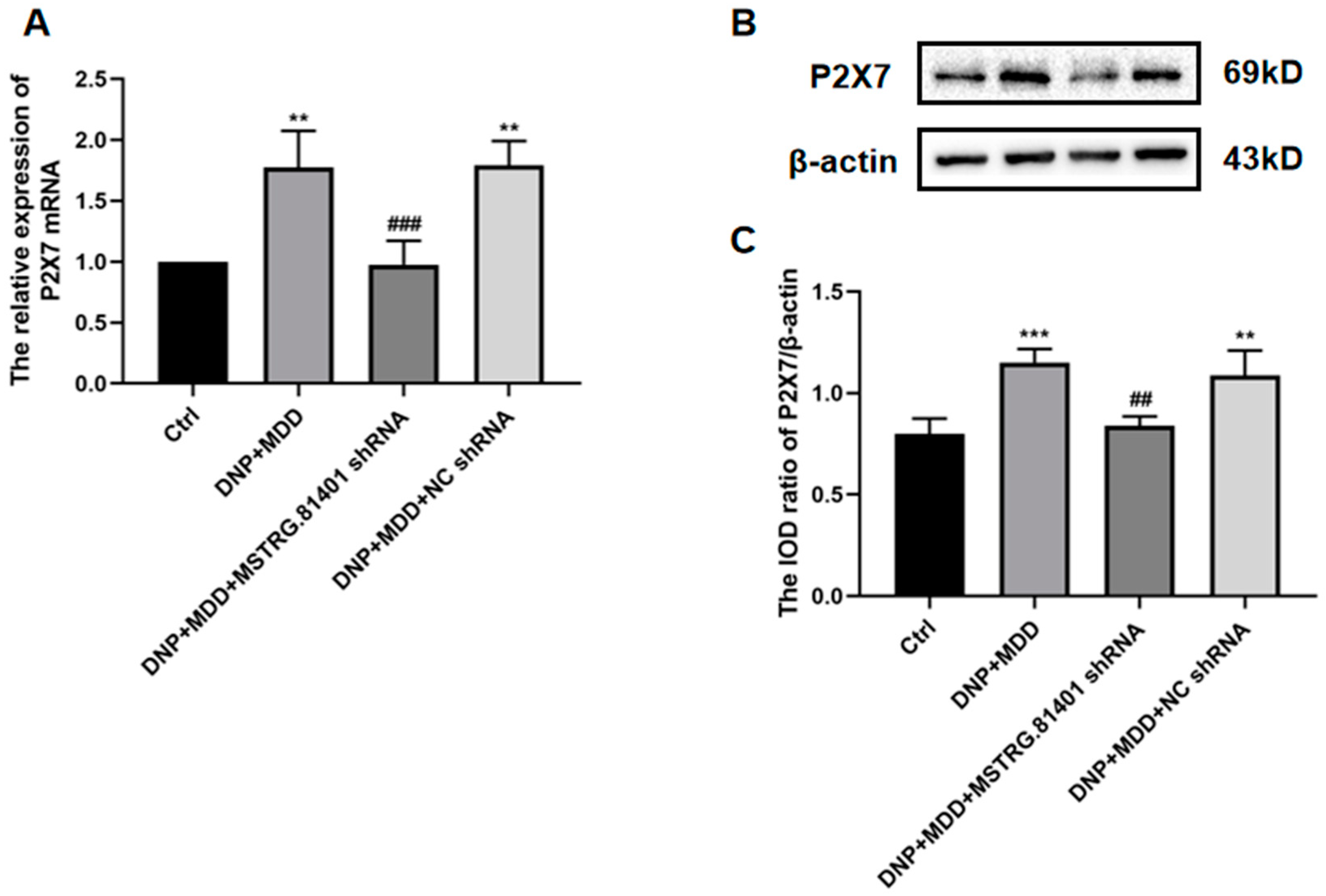 Ijms 25 01186 g004a Ijms 25 01186 g004a