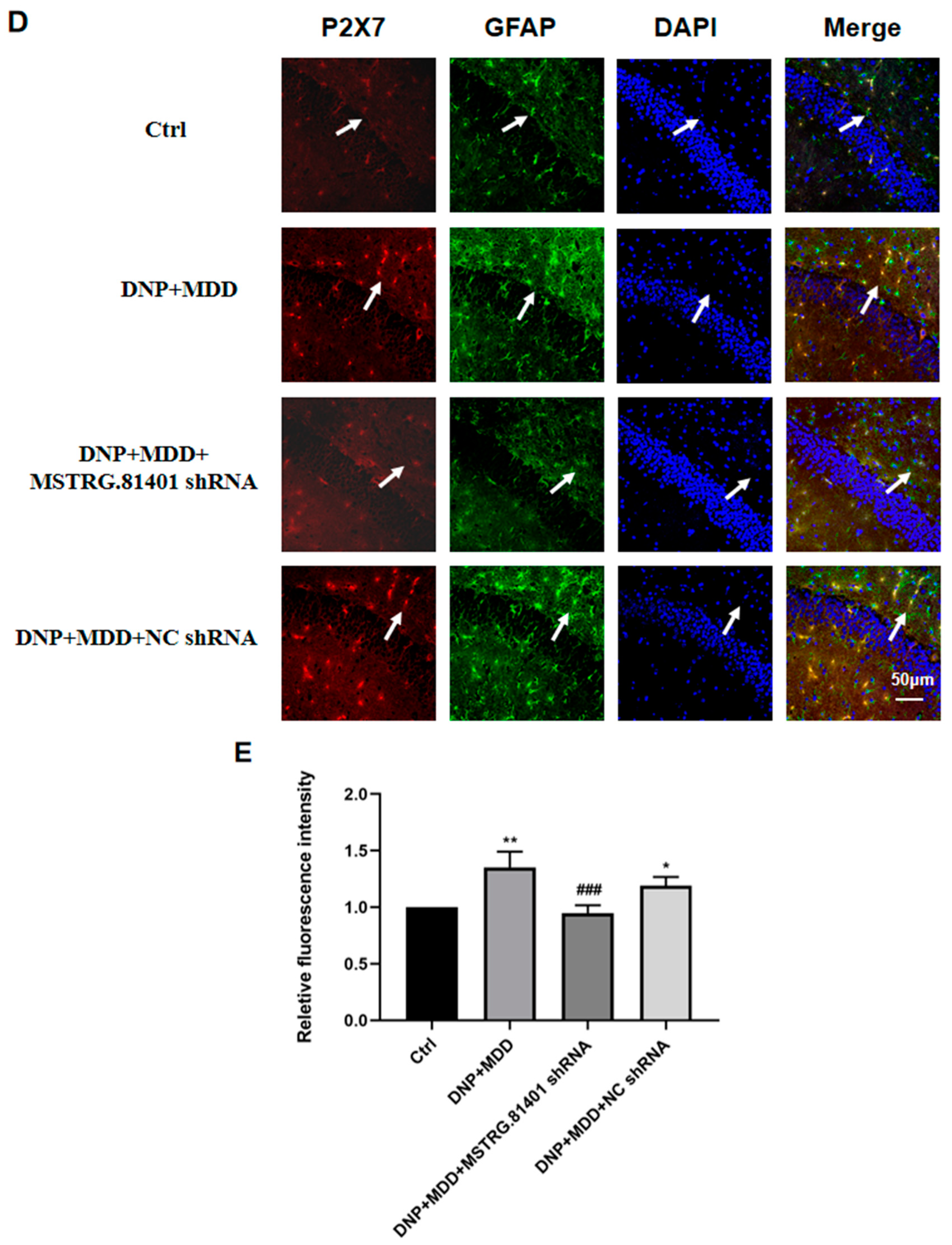 Ijms 25 01186 g004b Ijms 25 01186 g004b