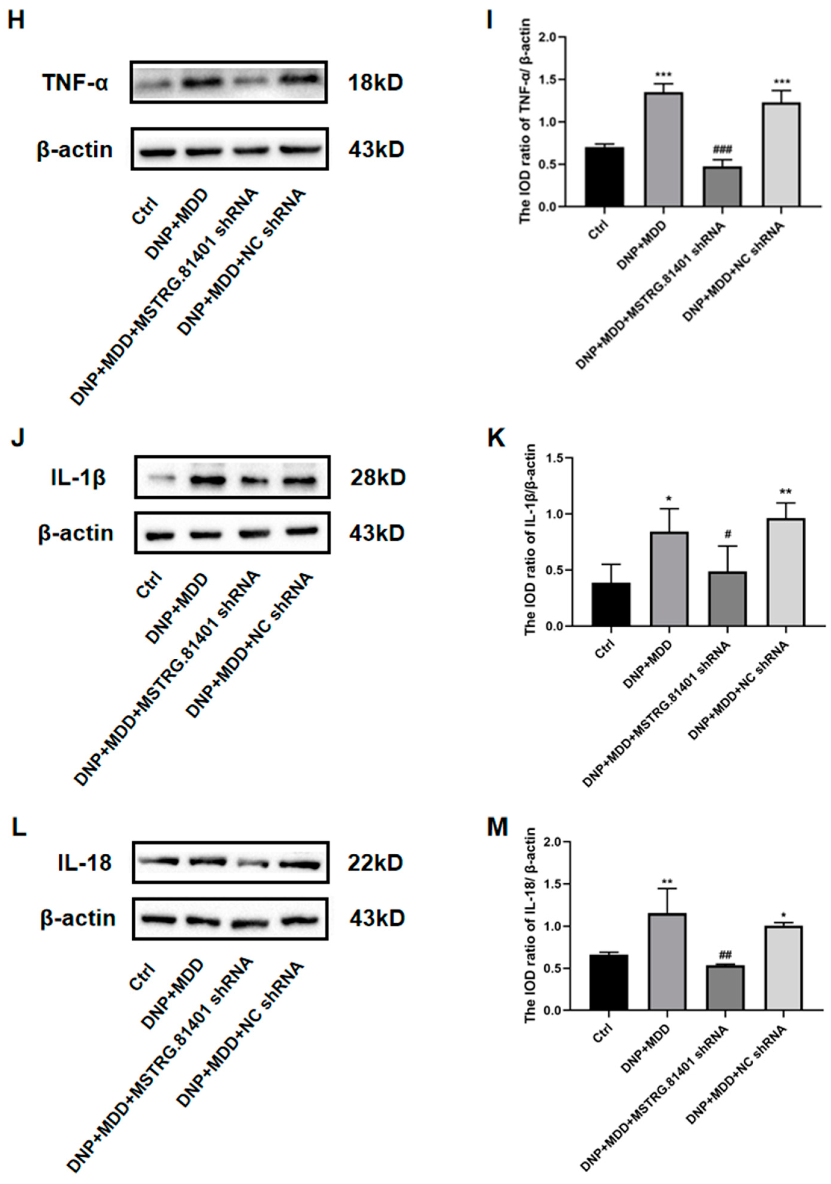 Ijms 25 01186 g005b Ijms 25 01186 g005b
