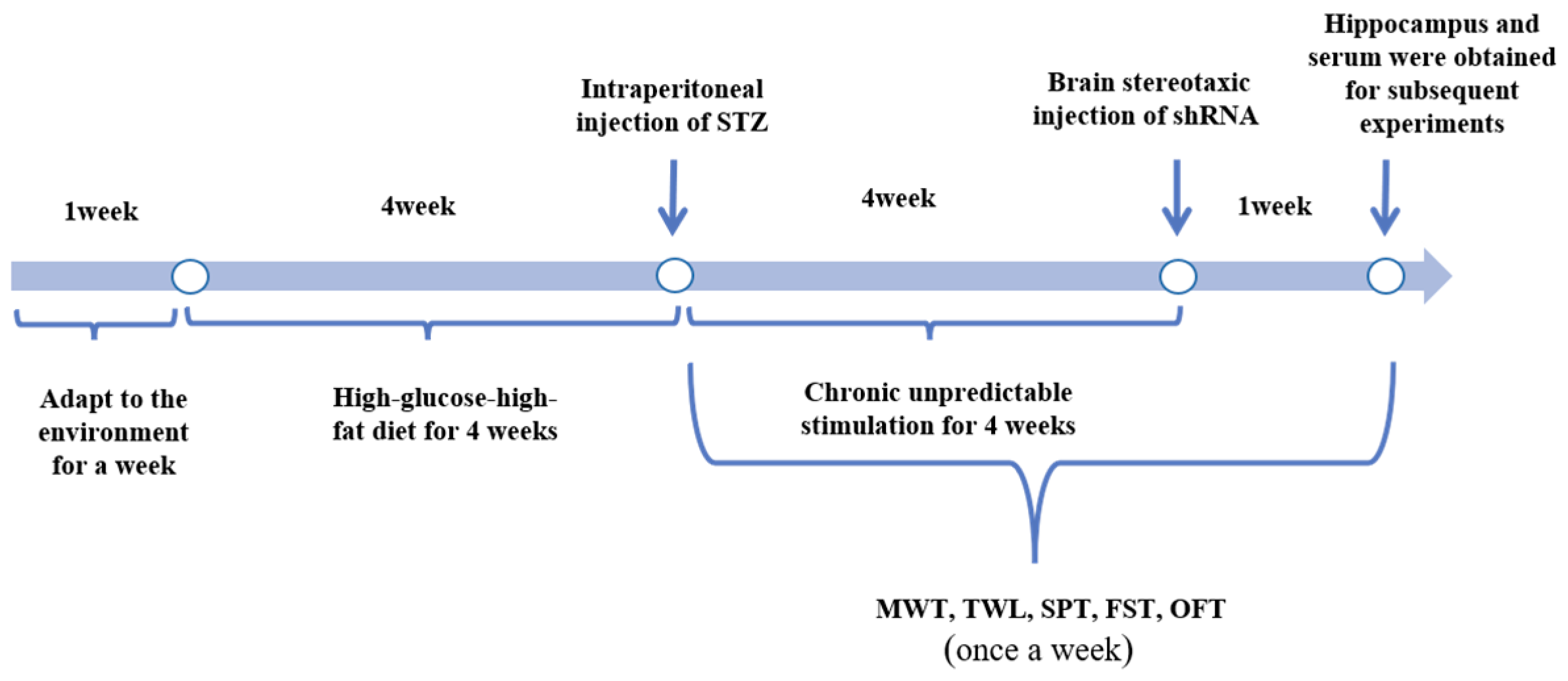 Ijms 25 01186 g007 Ijms 25 01186 g007