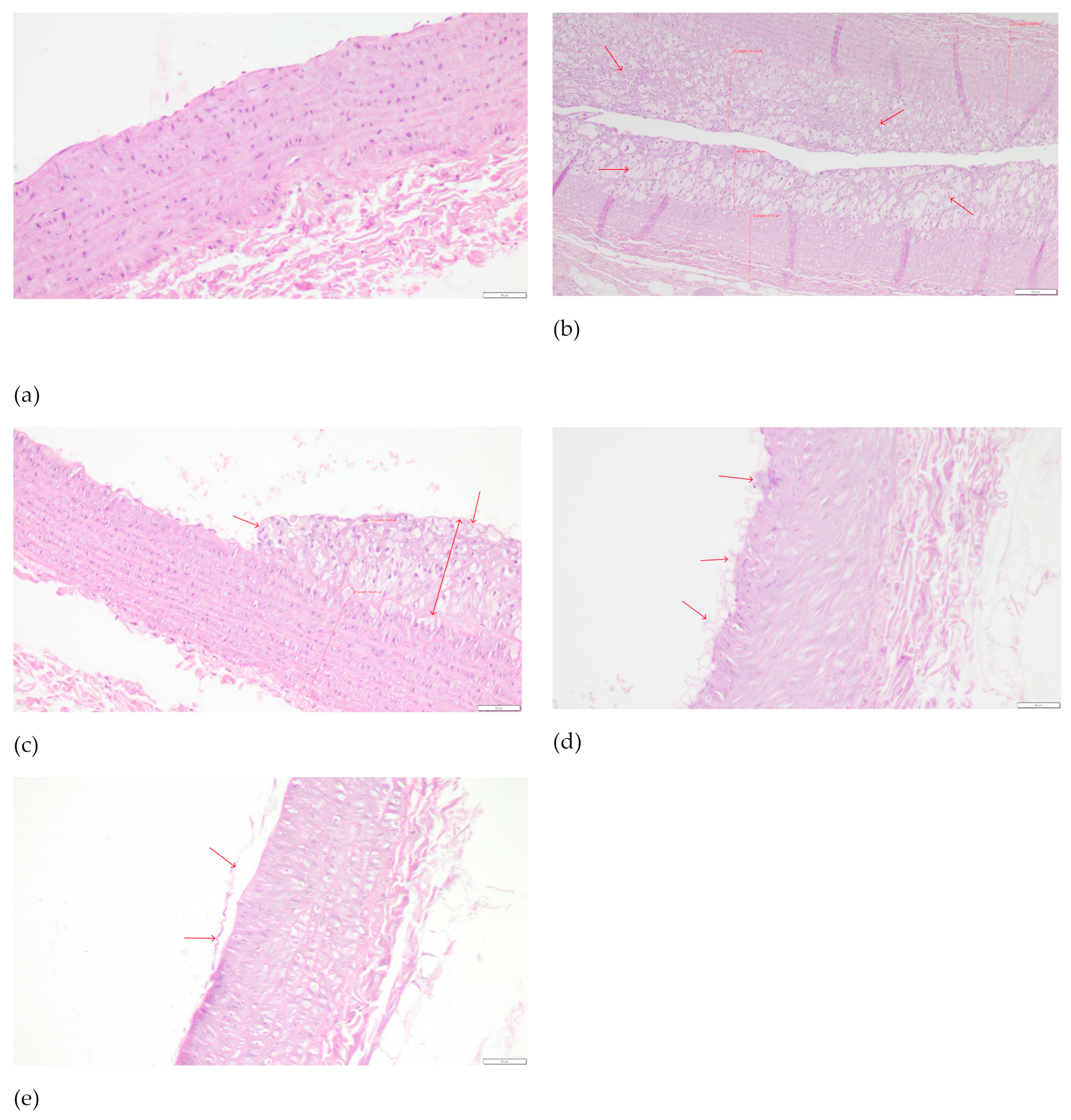 Ijms 25 01199 g004 Ijms 25 01199 g004