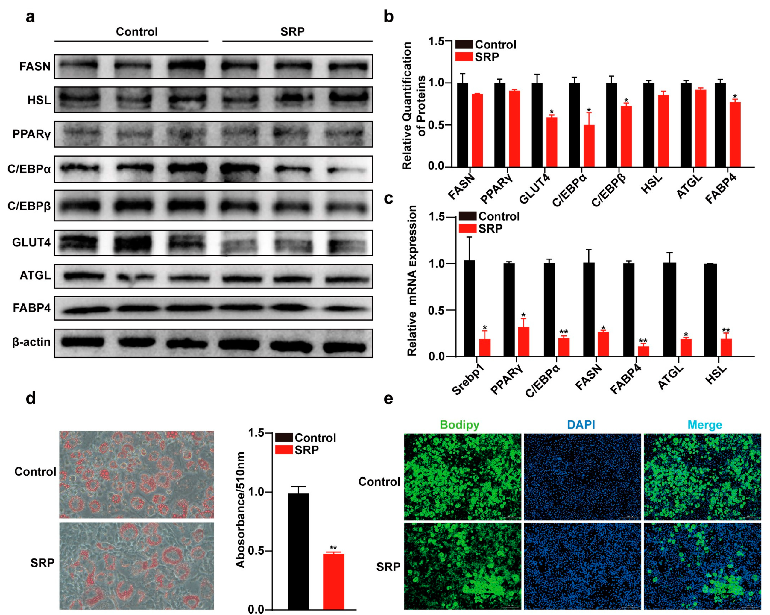 Ijms 25 01206 g003 Ijms 25 01206 g003
