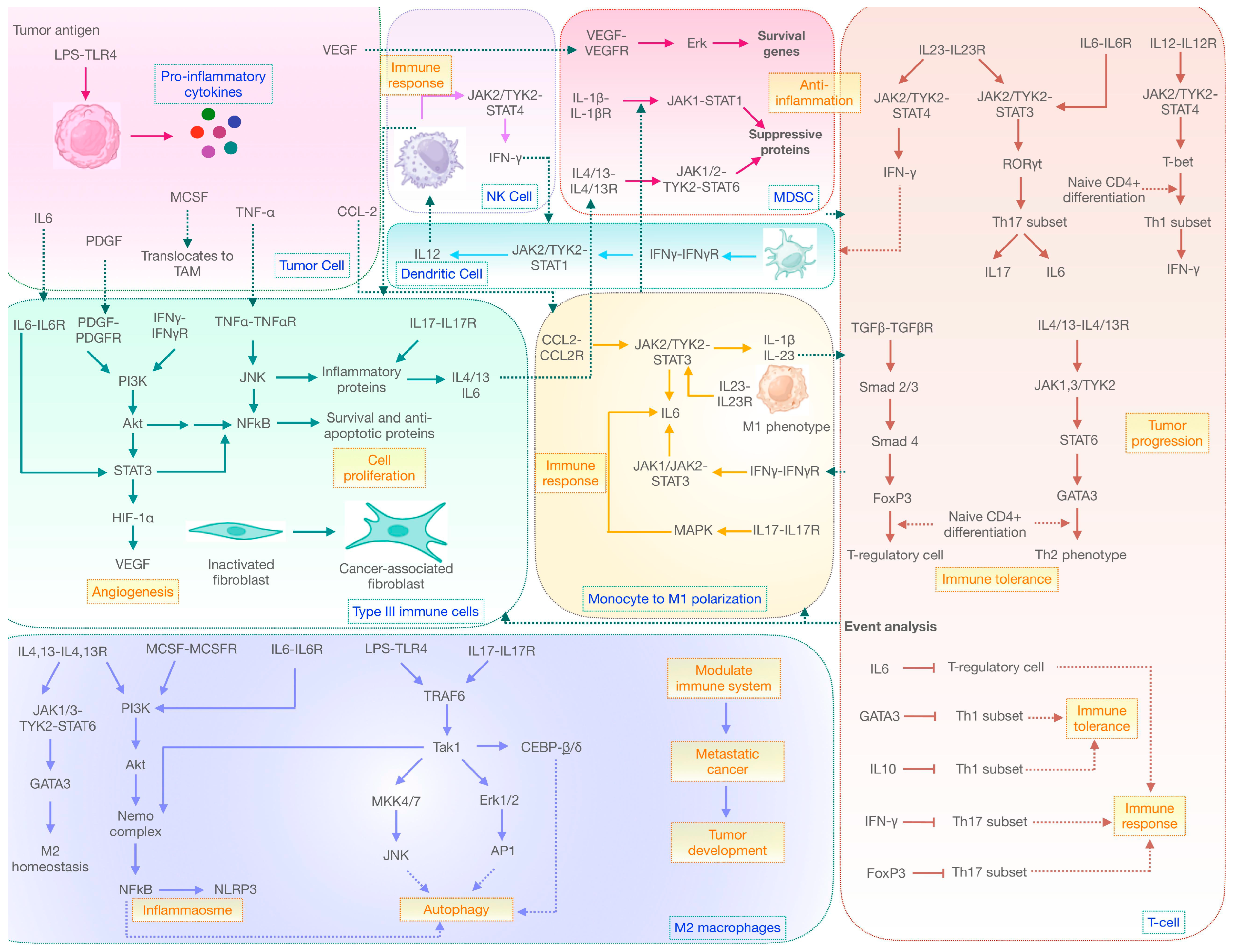 Ijms 25 01216 g002 Ijms 25 01216 g002
