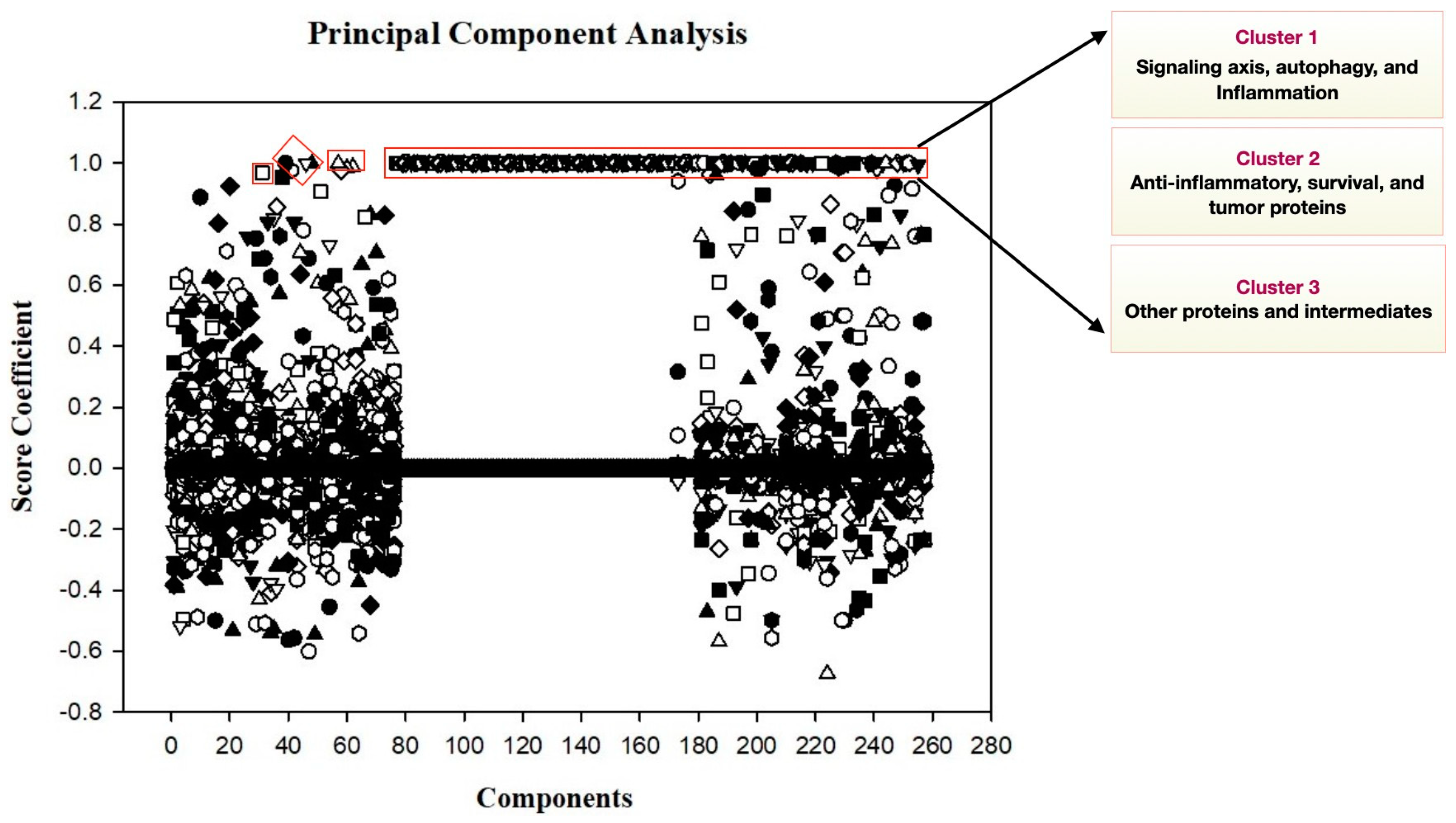 Ijms 25 01216 g005 Ijms 25 01216 g005