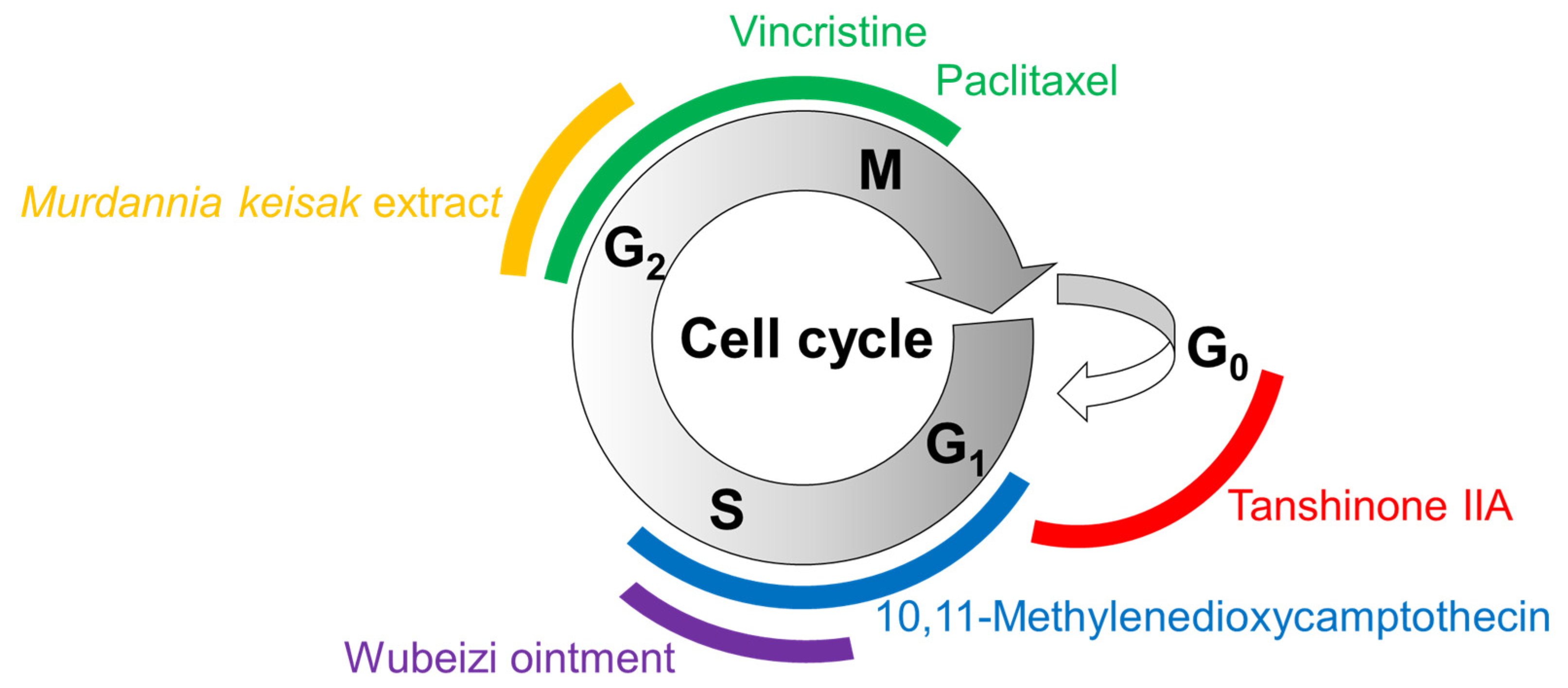 Insights into How Plant-Derived Extracts and ... Biology Diagrams