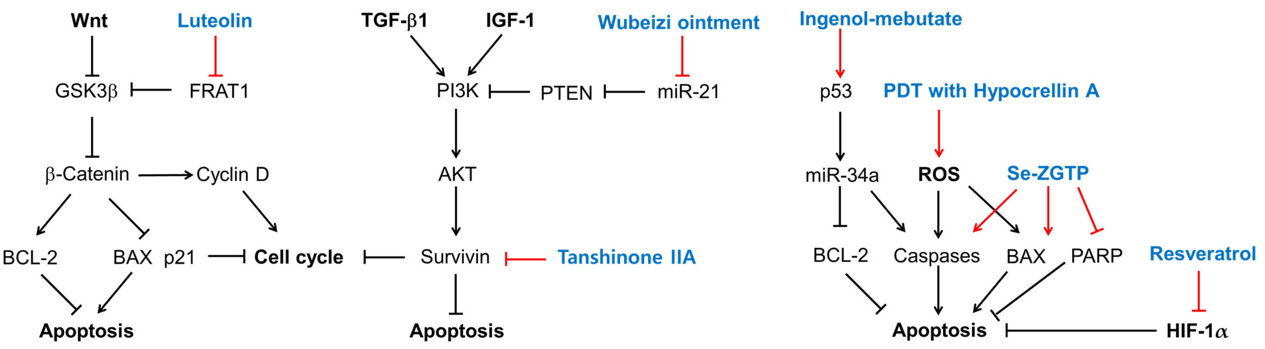 Ijms 25 01235 g004 Ijms 25 01235 g004