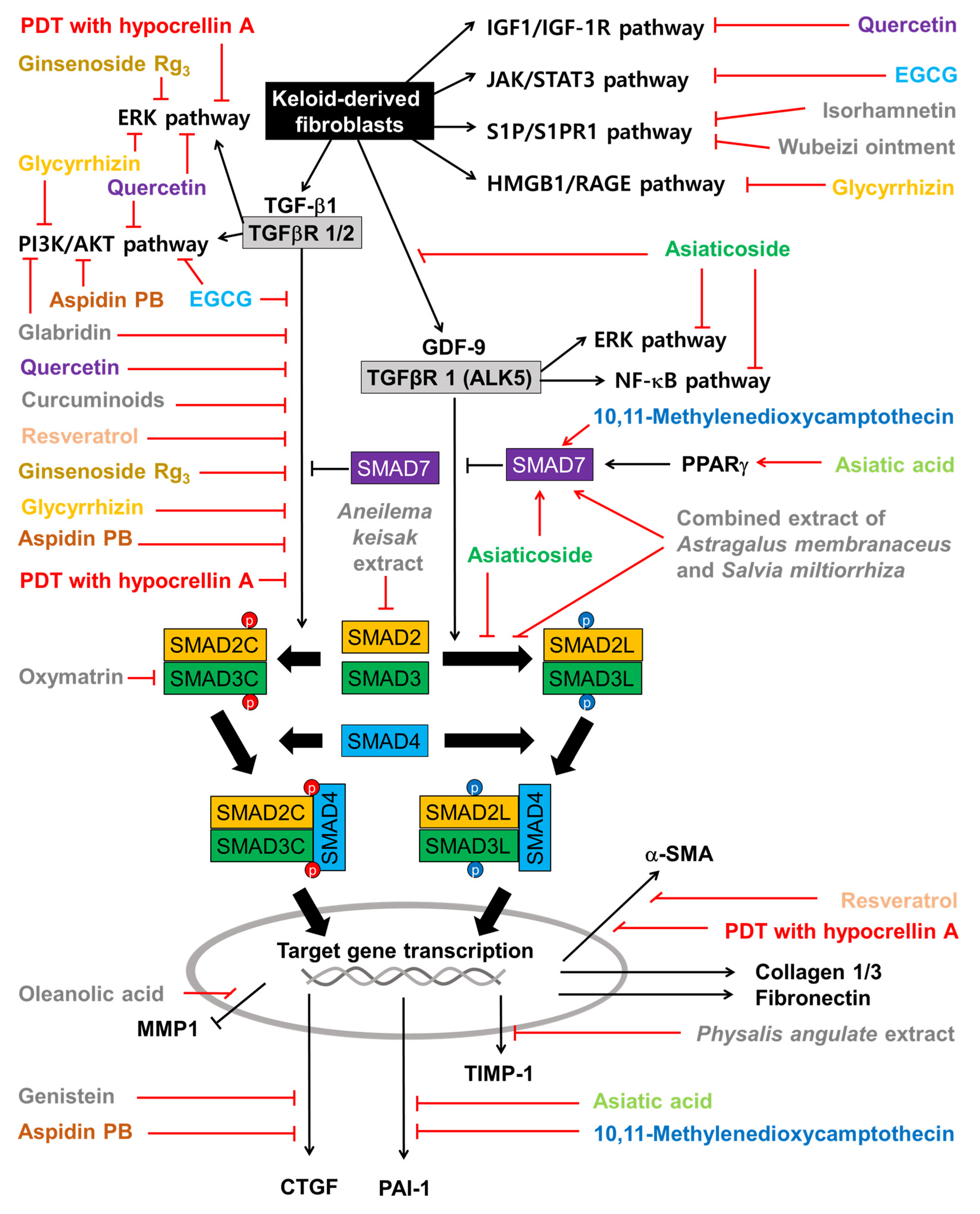 Ijms 25 01235 g005 Ijms 25 01235 g005