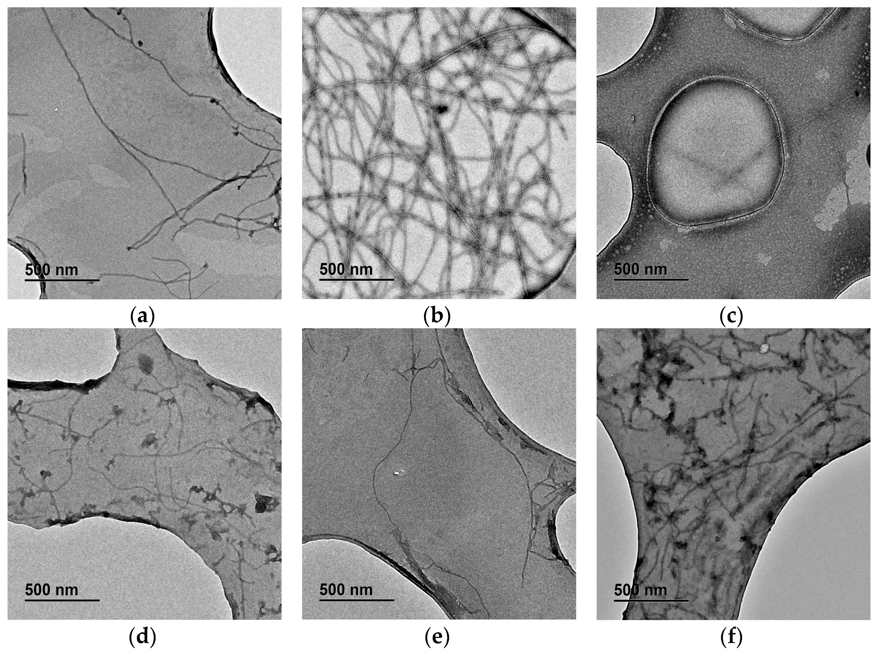 Ijms 25 01236 g004 Ijms 25 01236 g004