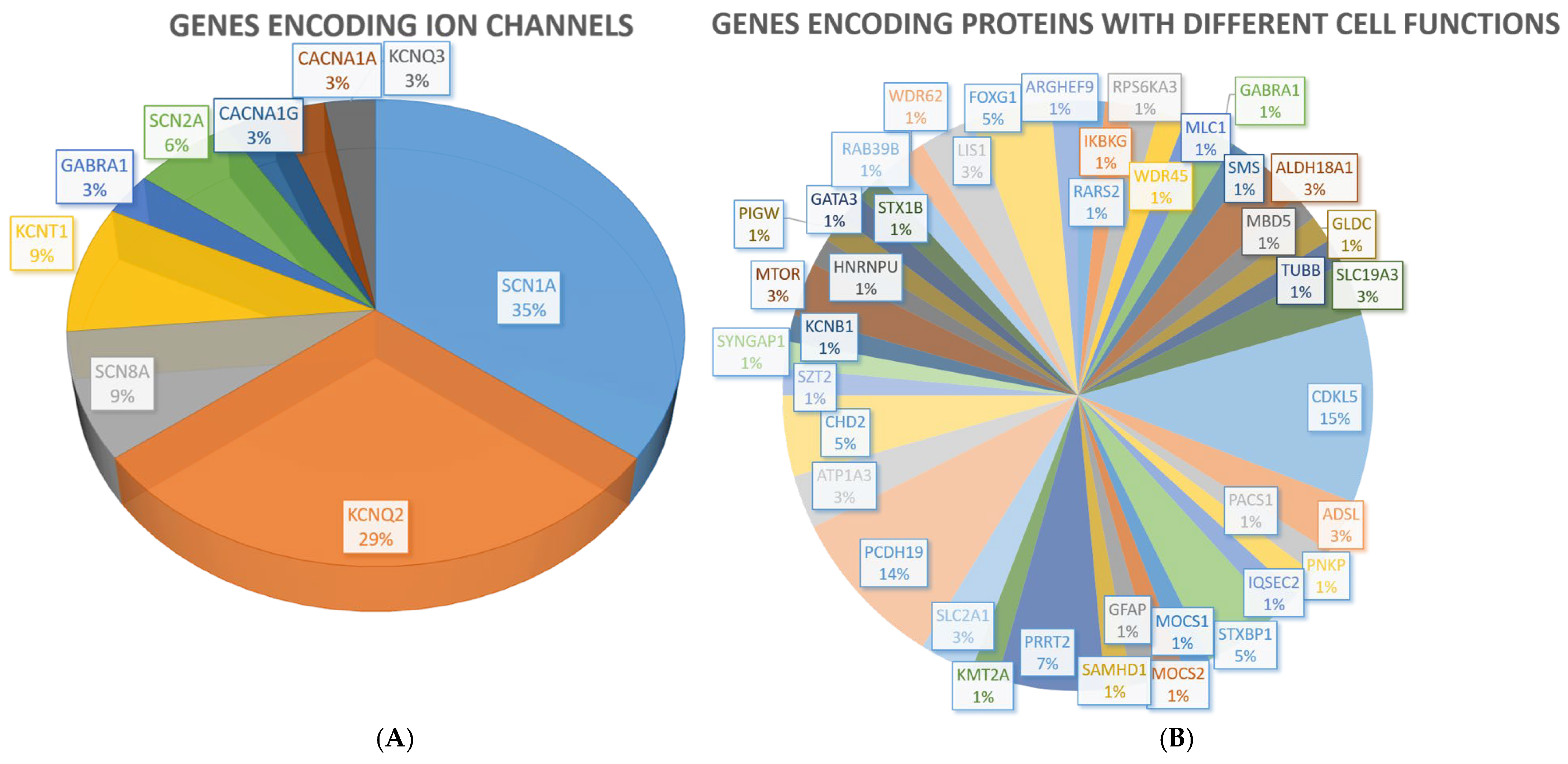 Genetic Epilepsies and Developmental Epileptic Encephalopathies 