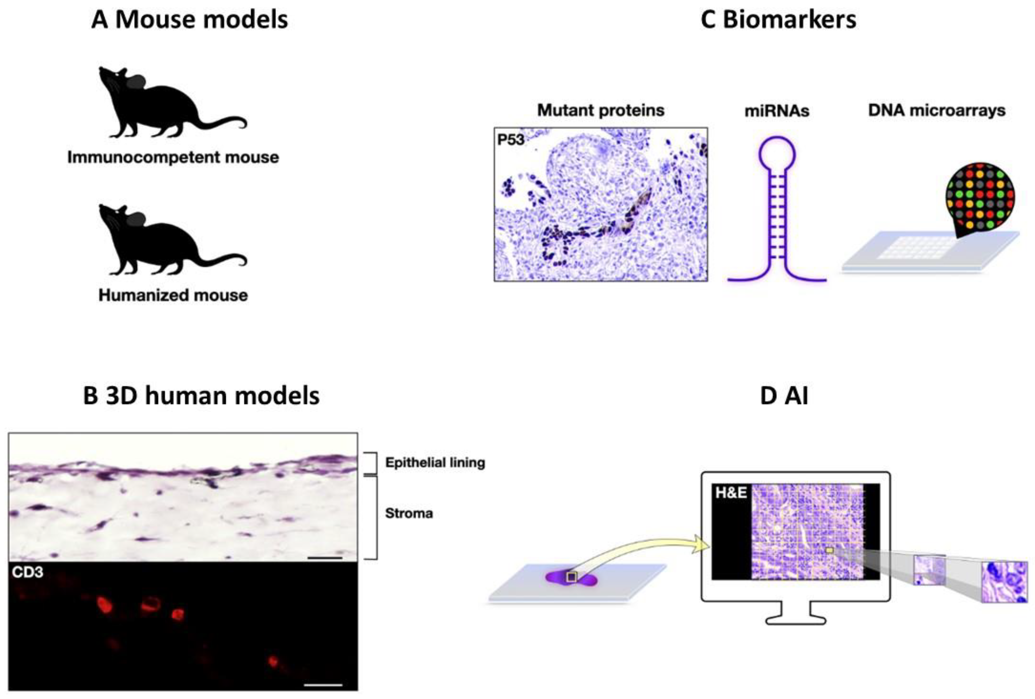 Ijms 25 01251 g004 Ijms 25 01251 g004