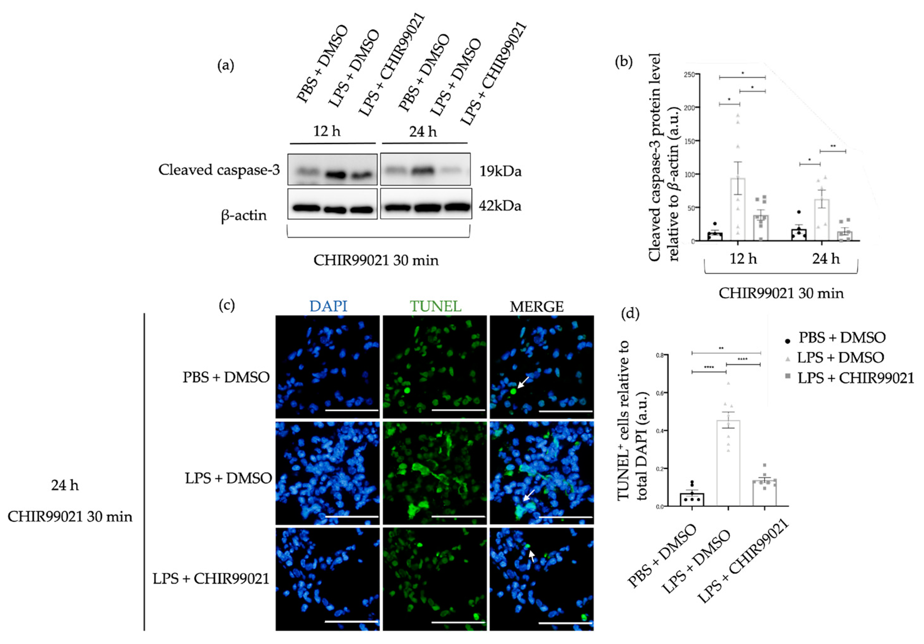 Ijms 25 01279 g002 Ijms 25 01279 g002