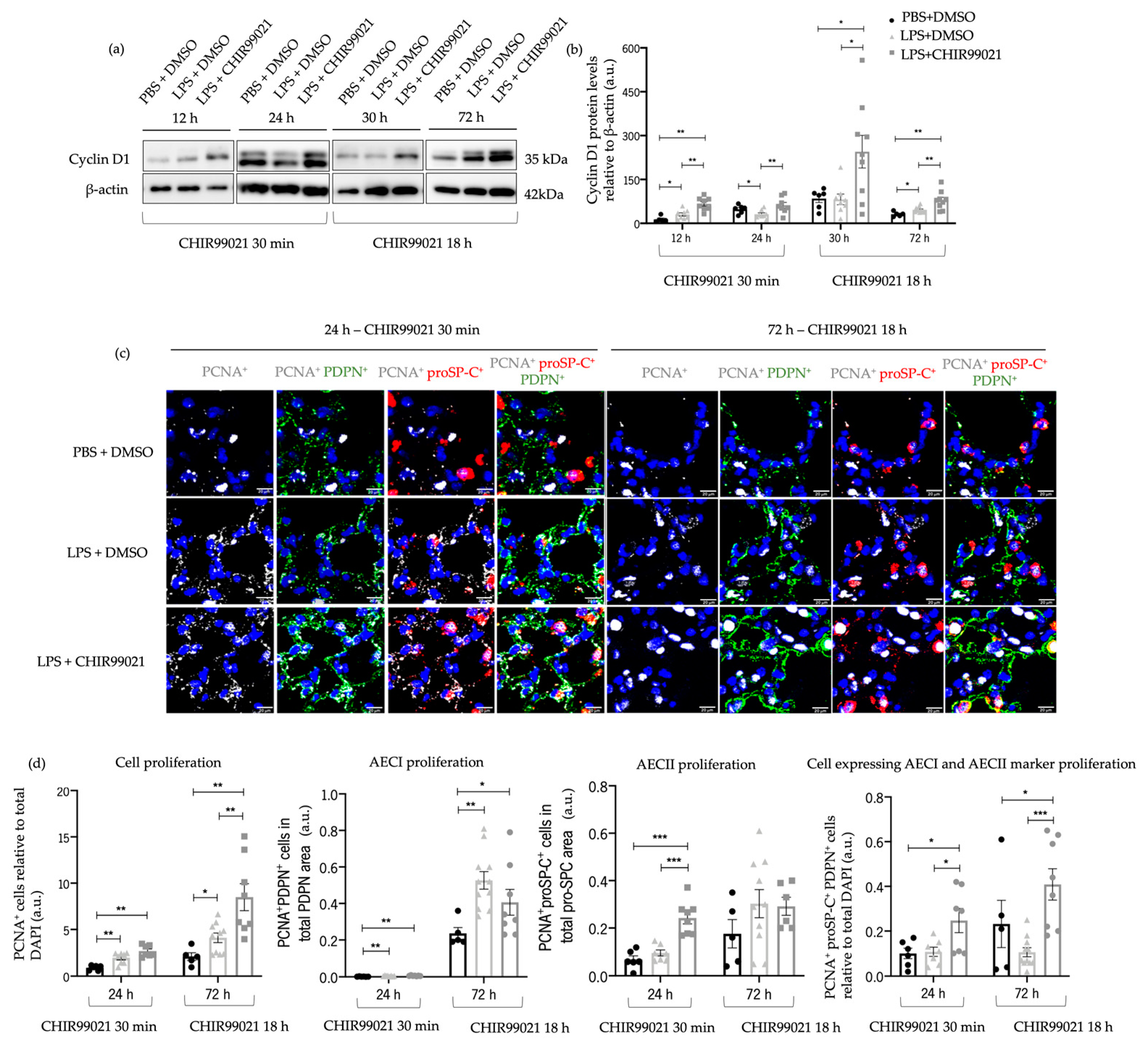 Ijms 25 01279 g004 Ijms 25 01279 g004