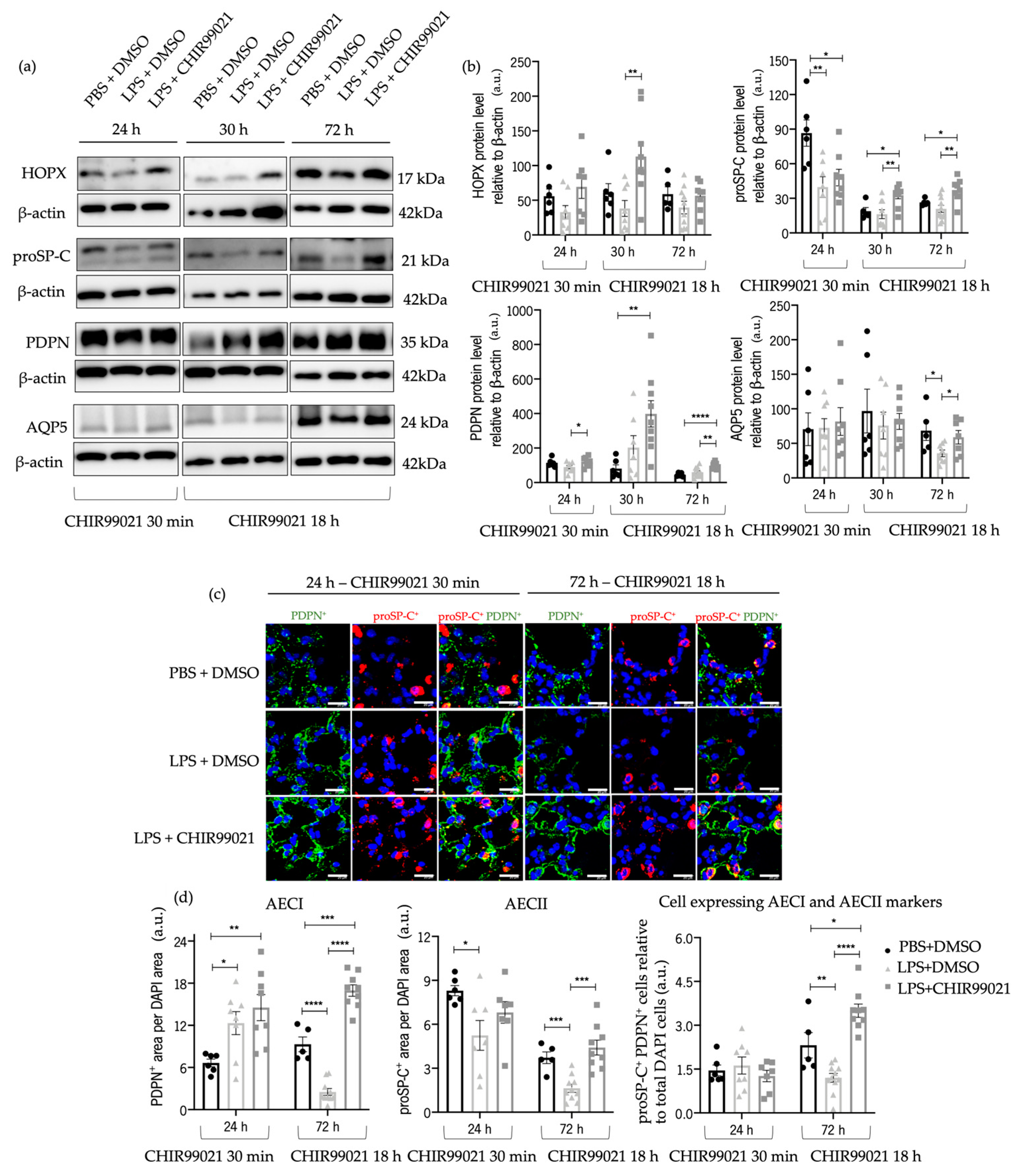 Ijms 25 01279 g005 Ijms 25 01279 g005