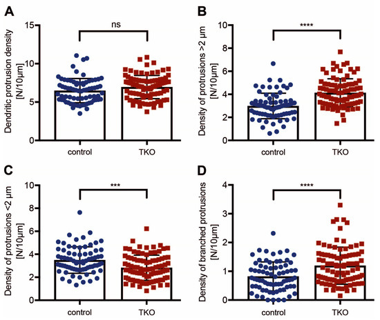 Distinct Alterations in Dendritic Spine Morphology in the Absence of β-Neurexins