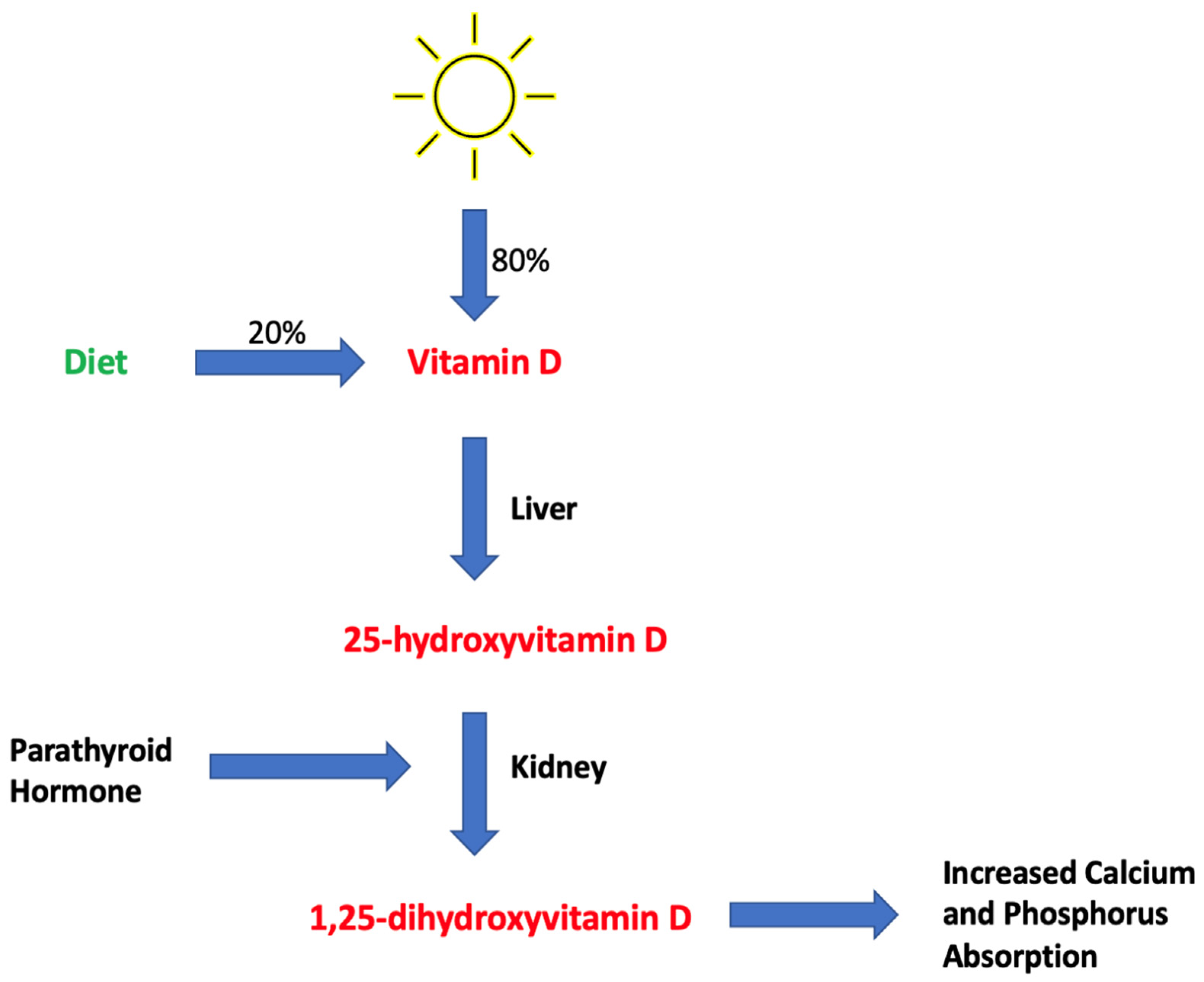 Ijms 25 01305 g001 Ijms 25 01305 g001