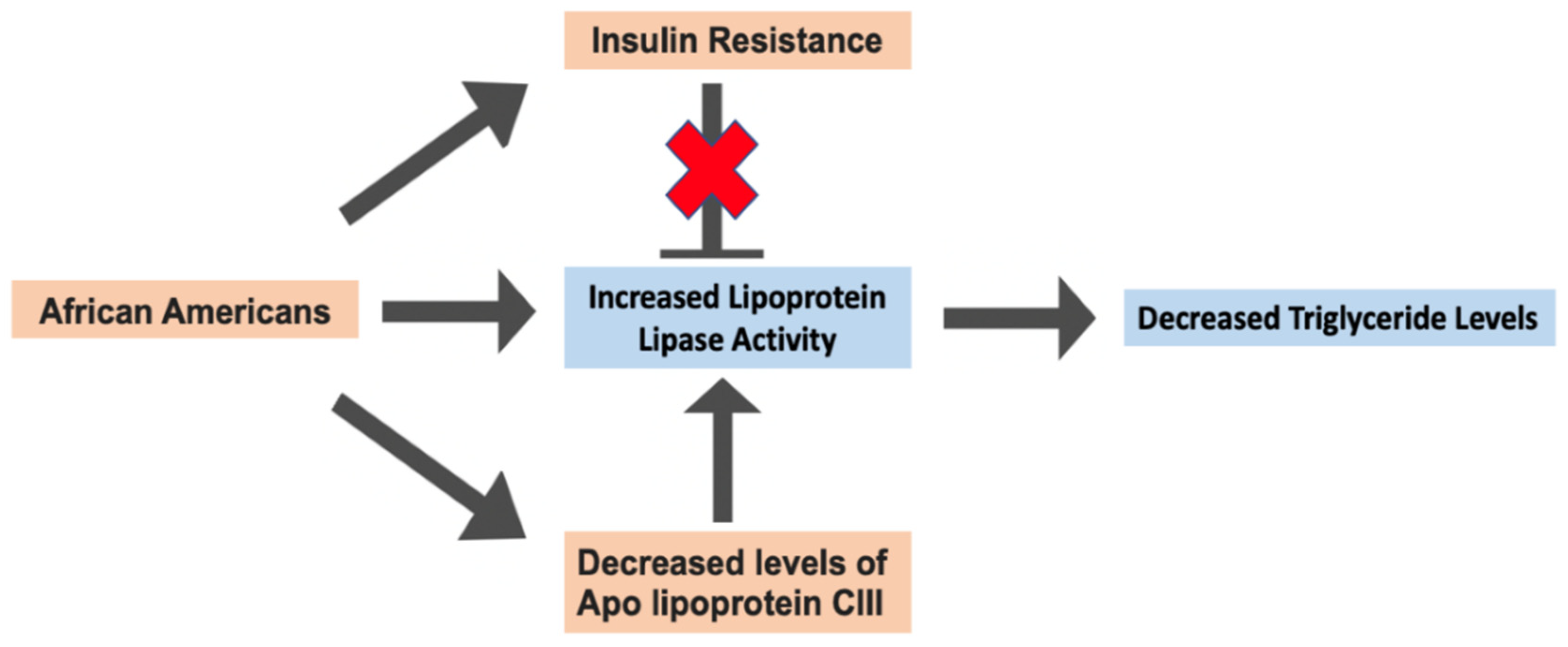 Ijms 25 01305 g003 Ijms 25 01305 g003