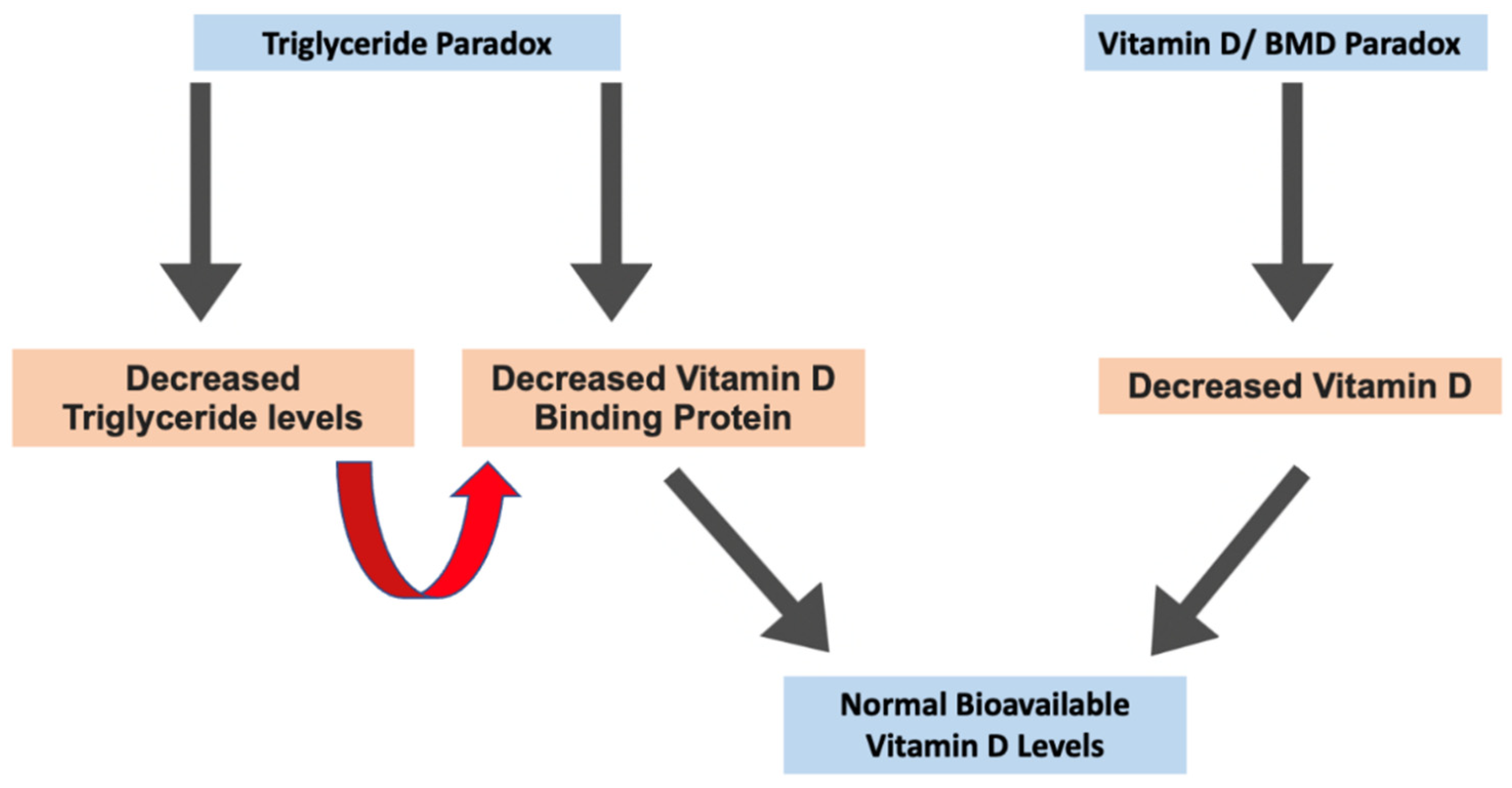 Ijms 25 01305 g004 Ijms 25 01305 g004